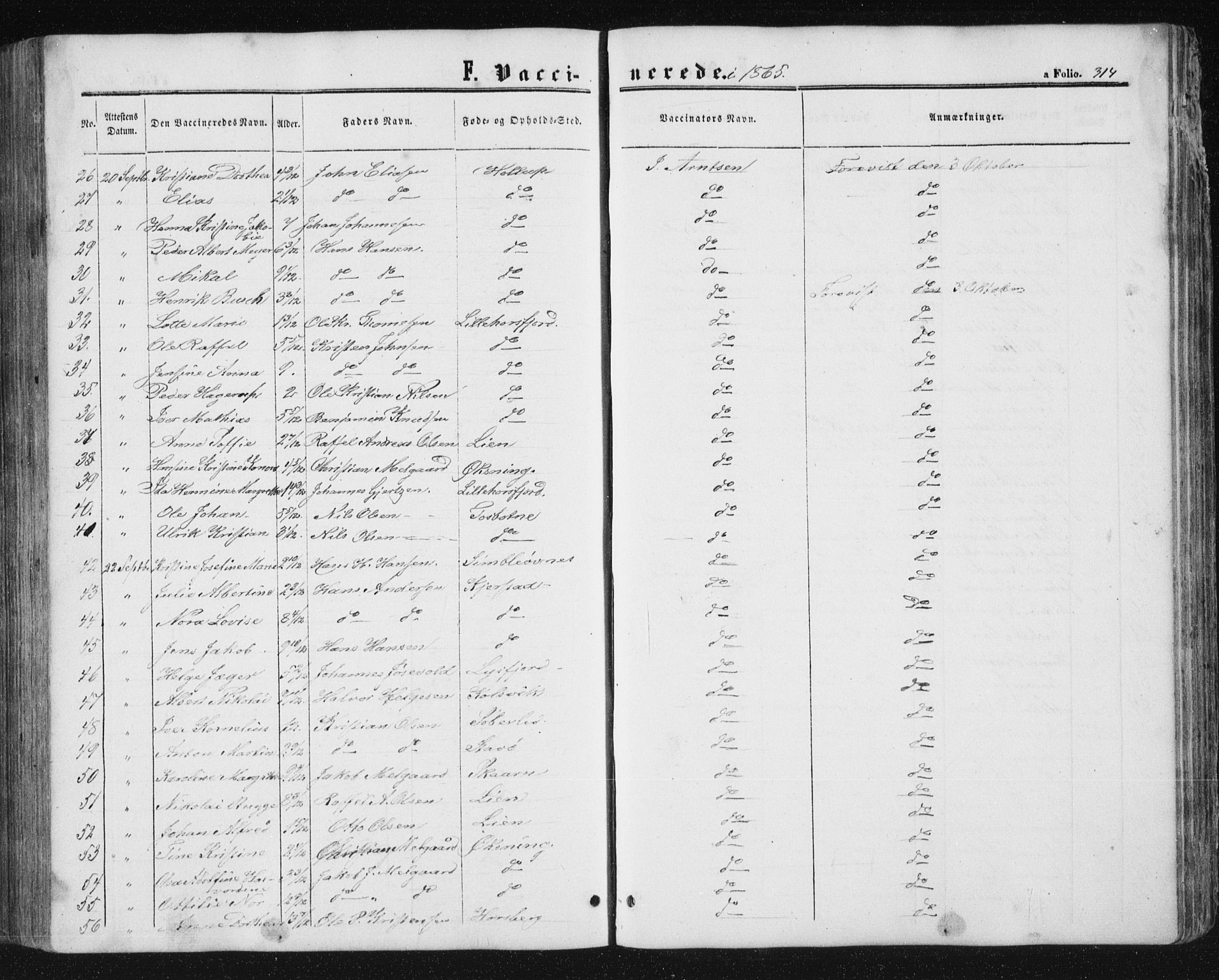 Ministerialprotokoller, klokkerbøker og fødselsregistre - Nordland, AV/SAT-A-1459/810/L0158: Parish register (copy) no. 810C02 /1, 1863-1883, p. 314