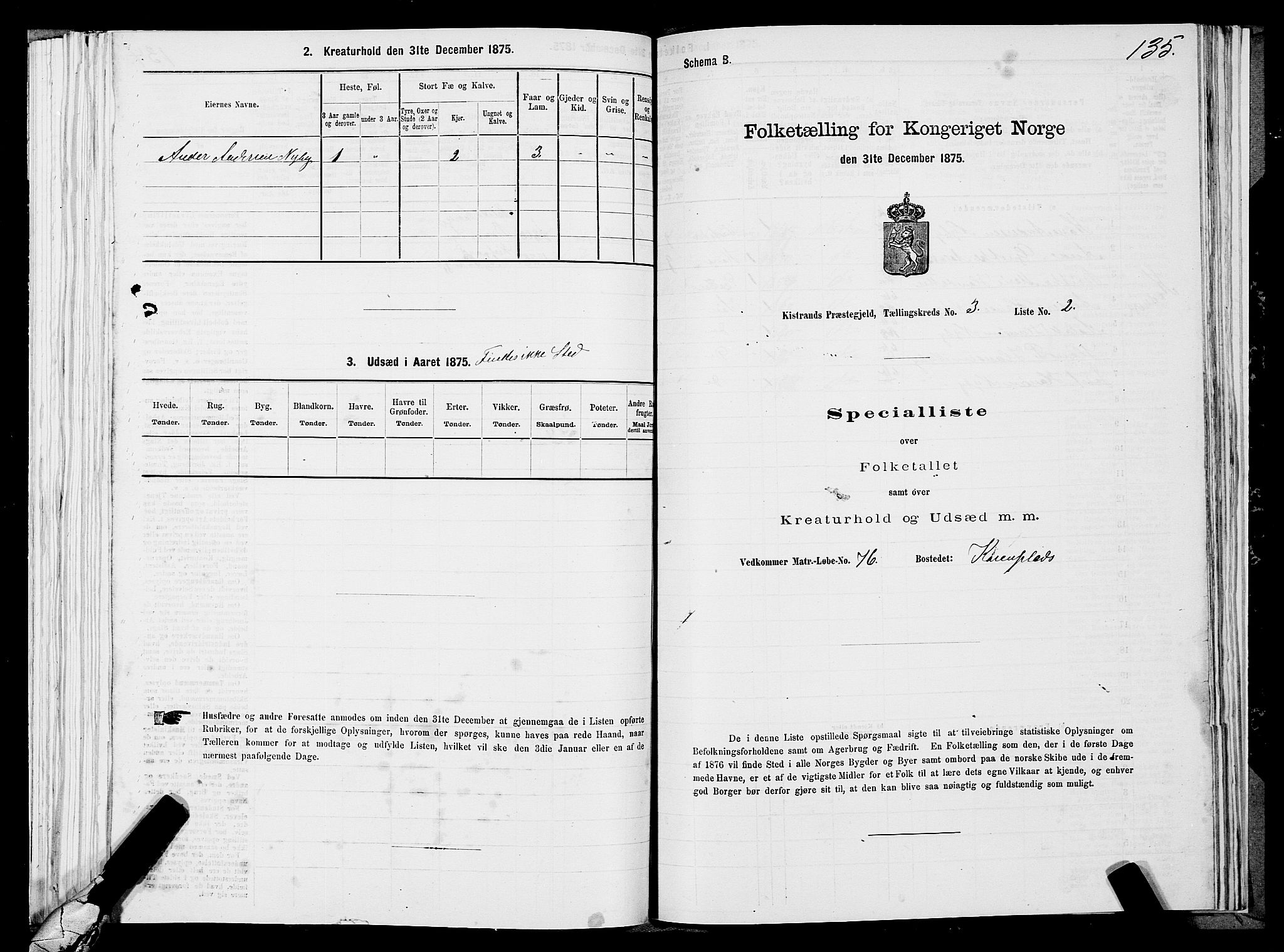 SATØ, 1875 census for 2020P Kistrand, 1875, p. 1135