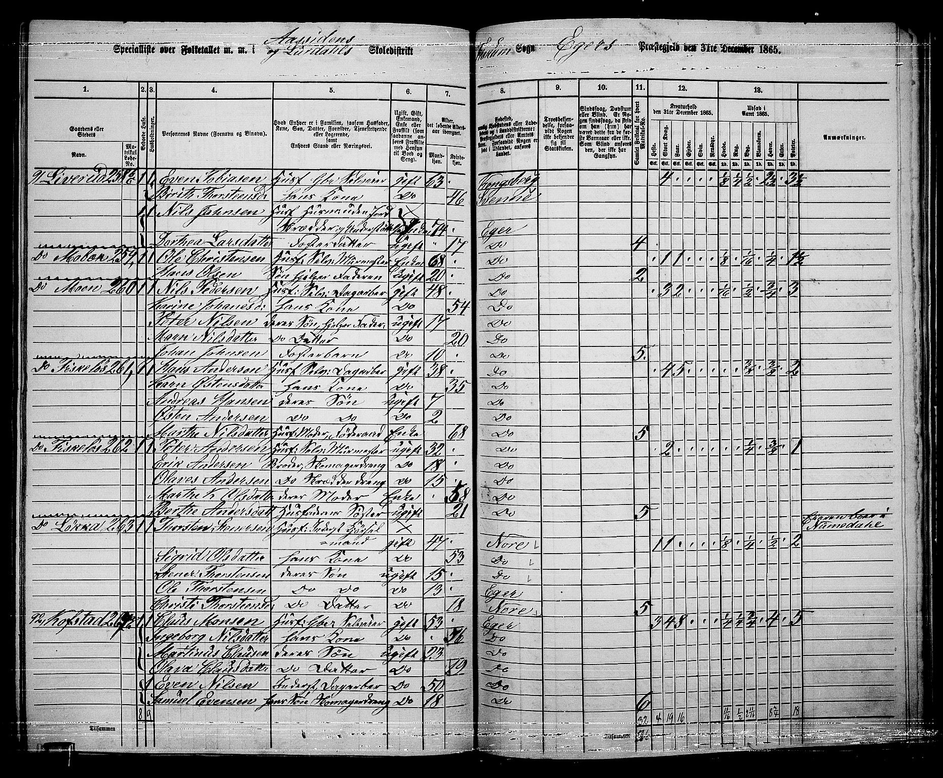 RA, 1865 census for Eiker, 1865, p. 505