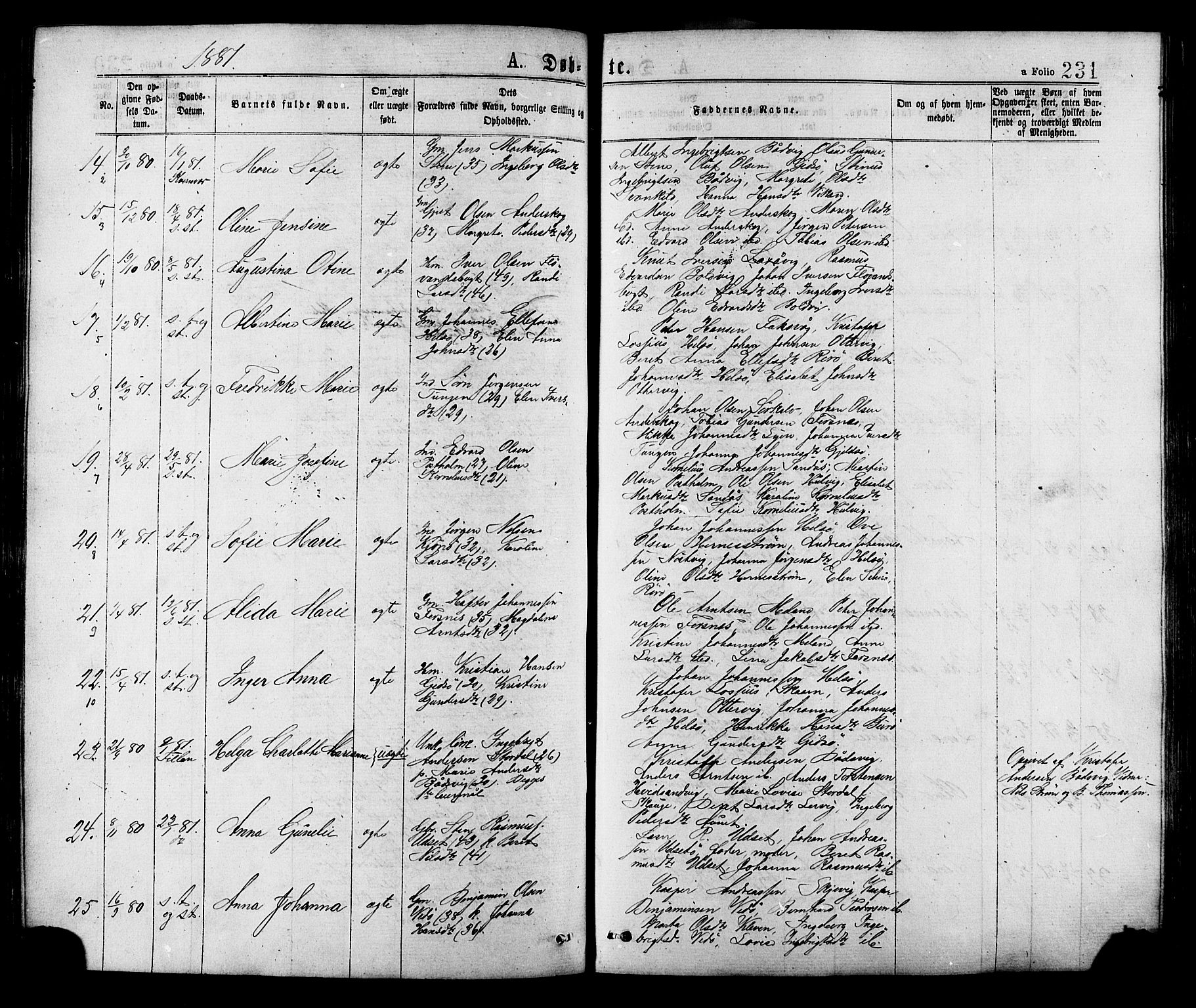Ministerialprotokoller, klokkerbøker og fødselsregistre - Sør-Trøndelag, AV/SAT-A-1456/634/L0532: Parish register (official) no. 634A08, 1871-1881, p. 231