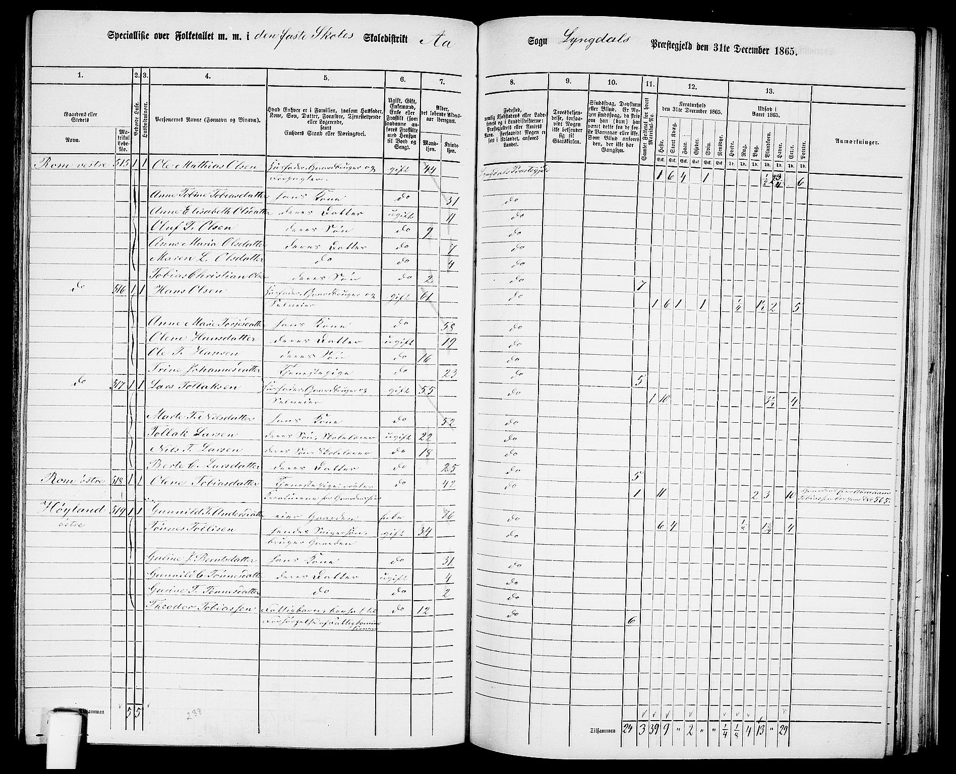 RA, 1865 census for Lyngdal, 1865, p. 204