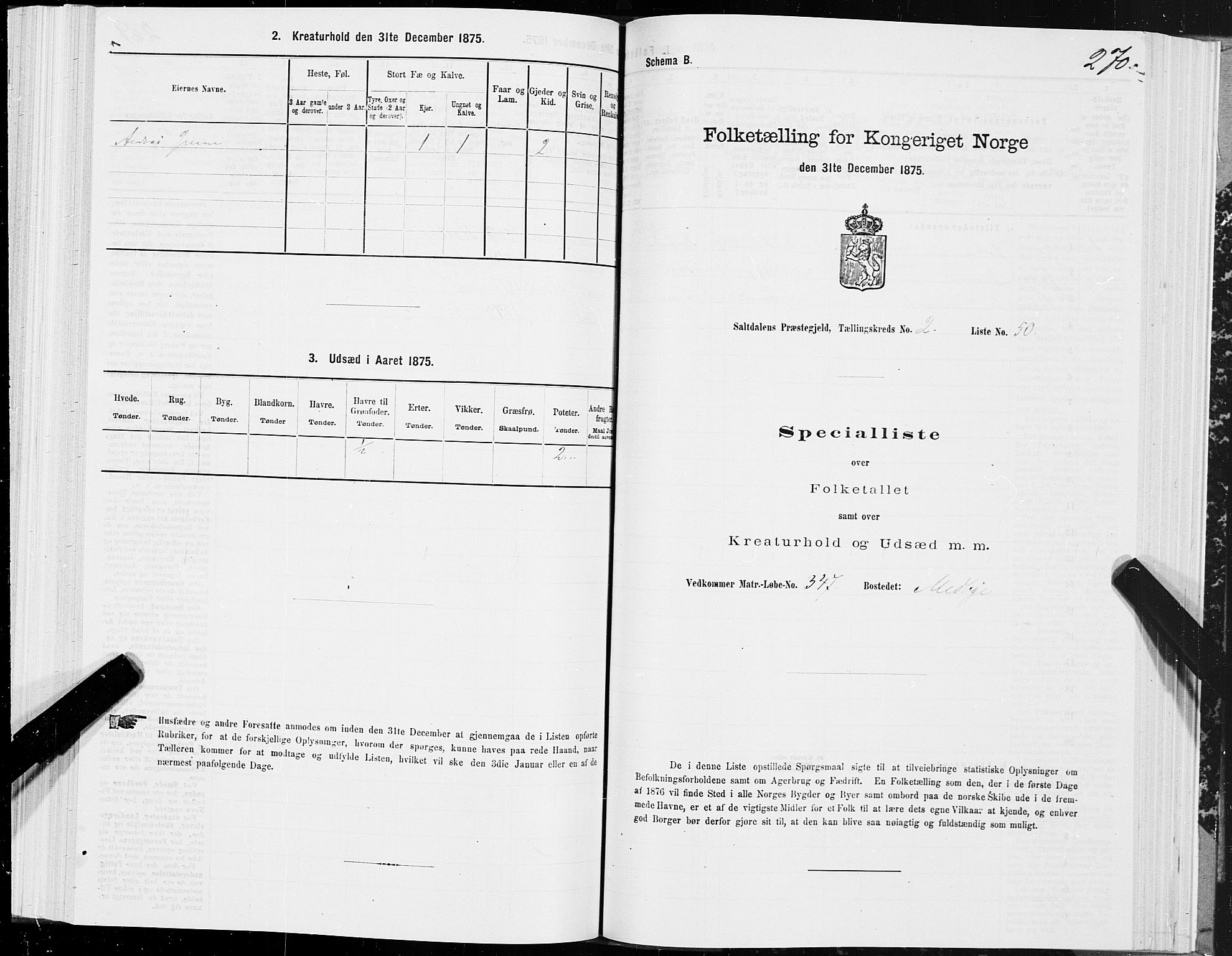 SAT, 1875 census for 1840P Saltdal, 1875, p. 1270