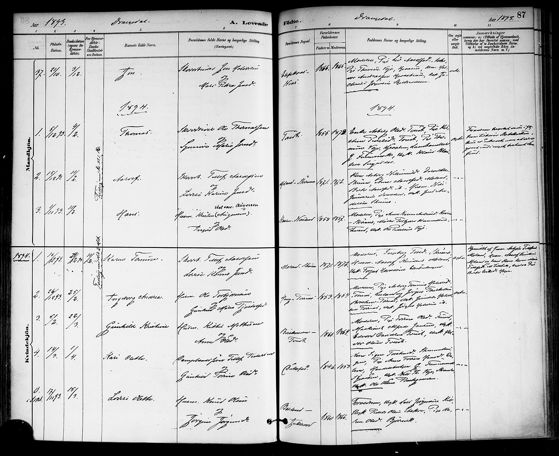 Drangedal kirkebøker, SAKO/A-258/F/Fa/L0010: Parish register (official) no. 10 /1, 1885-1894, p. 87
