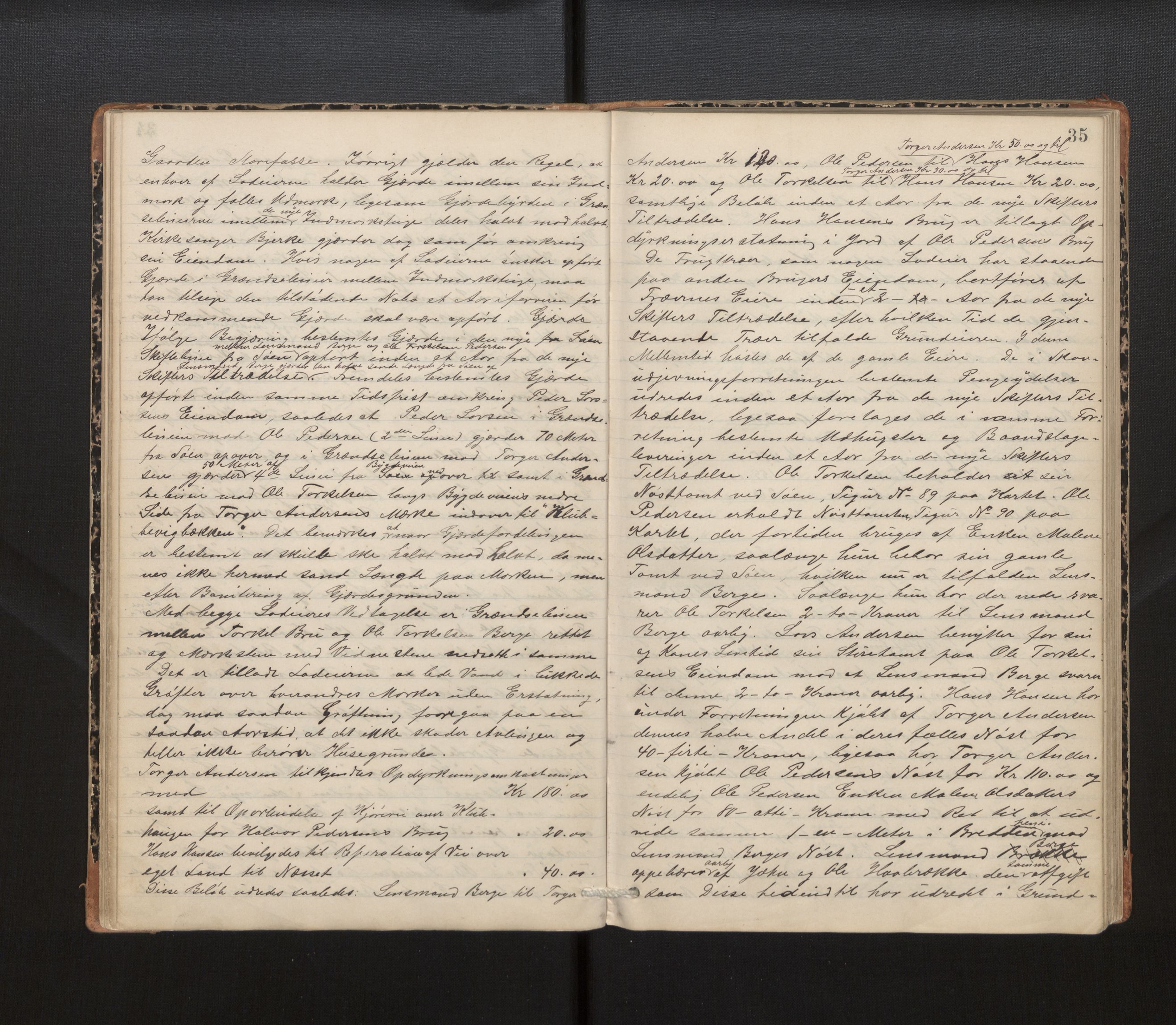 Hordaland jordskiftedøme - IV Hardanger jordskiftedistrikt, AV/SAB-A-7101/A/Aa/L0013: Forhandlingsprotokoll, 1890-1894, p. 34b-35a