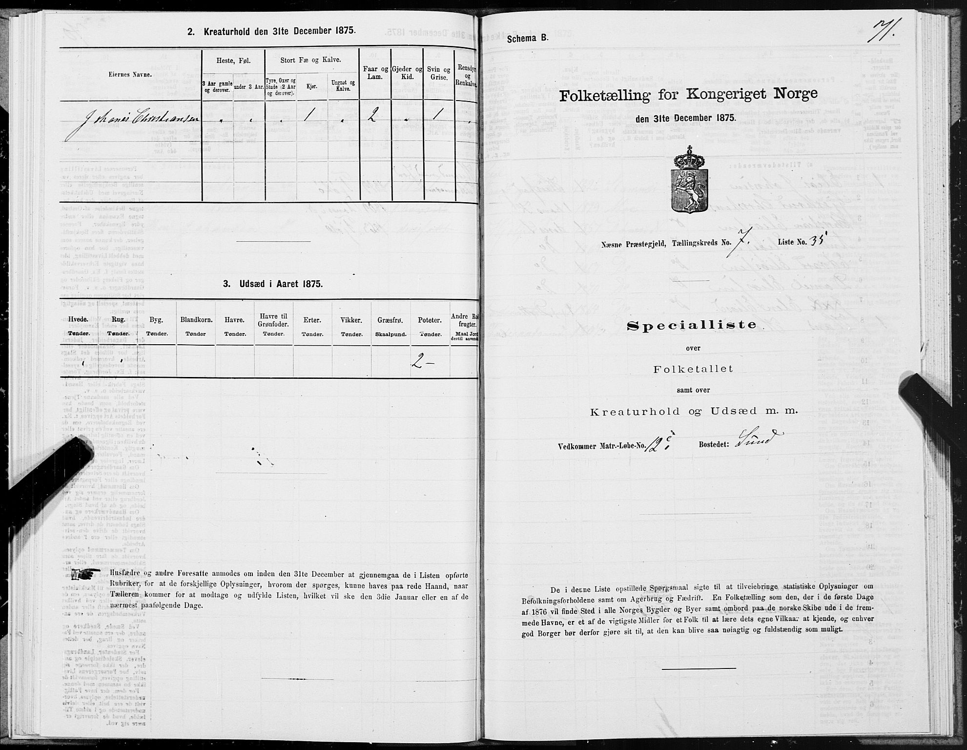 SAT, 1875 census for 1828P Nesna, 1875, p. 6071