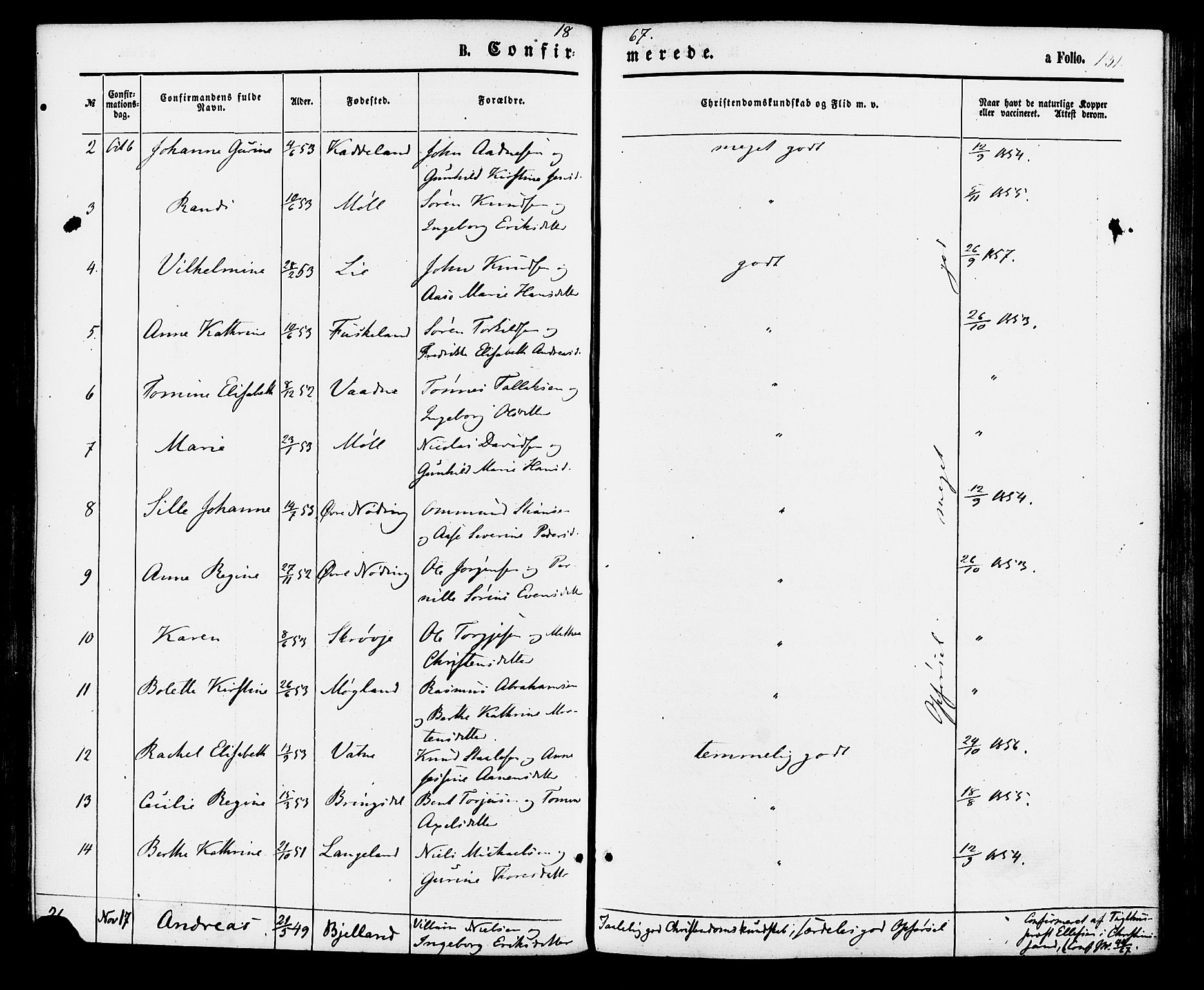 Holum sokneprestkontor, AV/SAK-1111-0022/F/Fa/Faa/L0006: Parish register (official) no. A 6, 1865-1883, p. 131