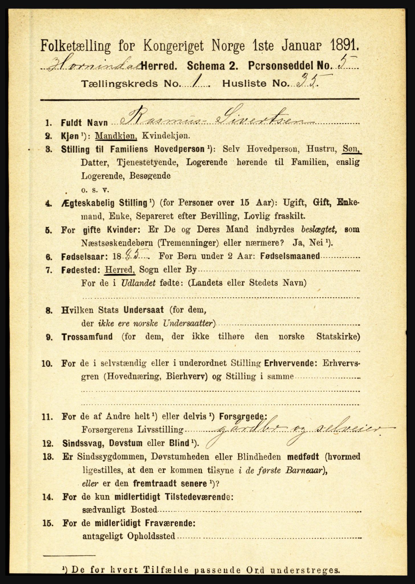 RA, 1891 census for 1444 Hornindal, 1891, p. 296