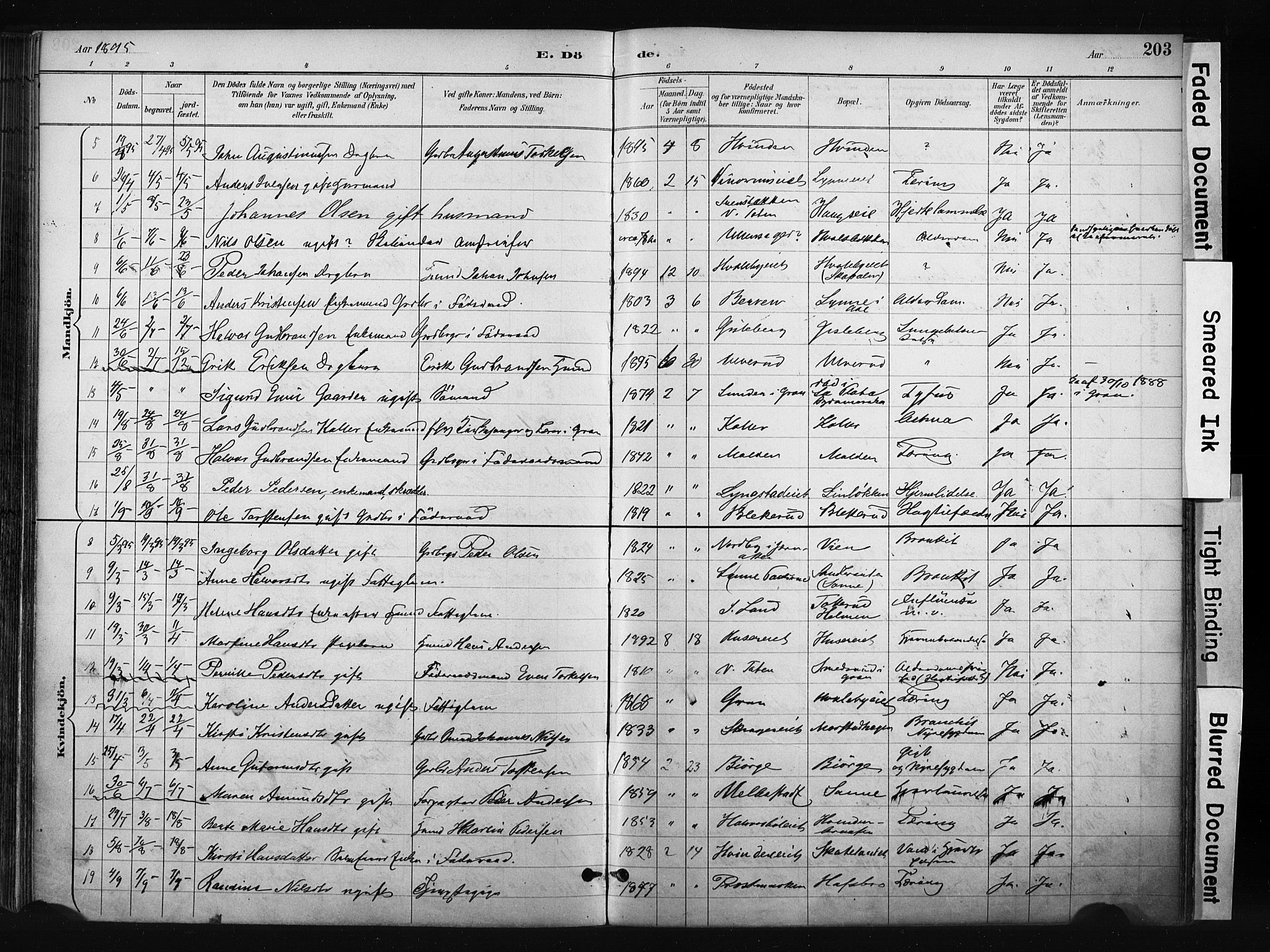 Gran prestekontor, SAH/PREST-112/H/Ha/Haa/L0017: Parish register (official) no. 17, 1889-1897, p. 203