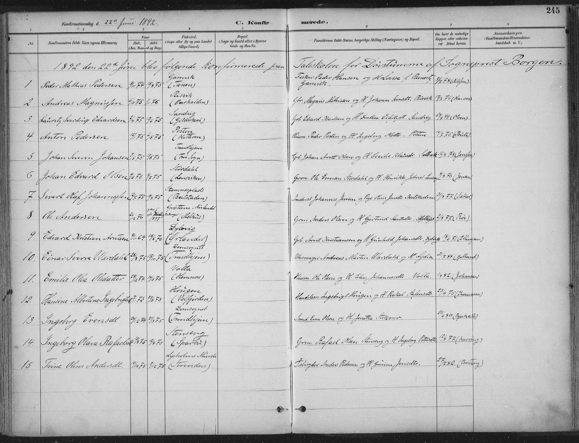 Ministerialprotokoller, klokkerbøker og fødselsregistre - Sør-Trøndelag, SAT/A-1456/601/L0062: Parish register (official) no. 601A30, 1891-1911, p. 245