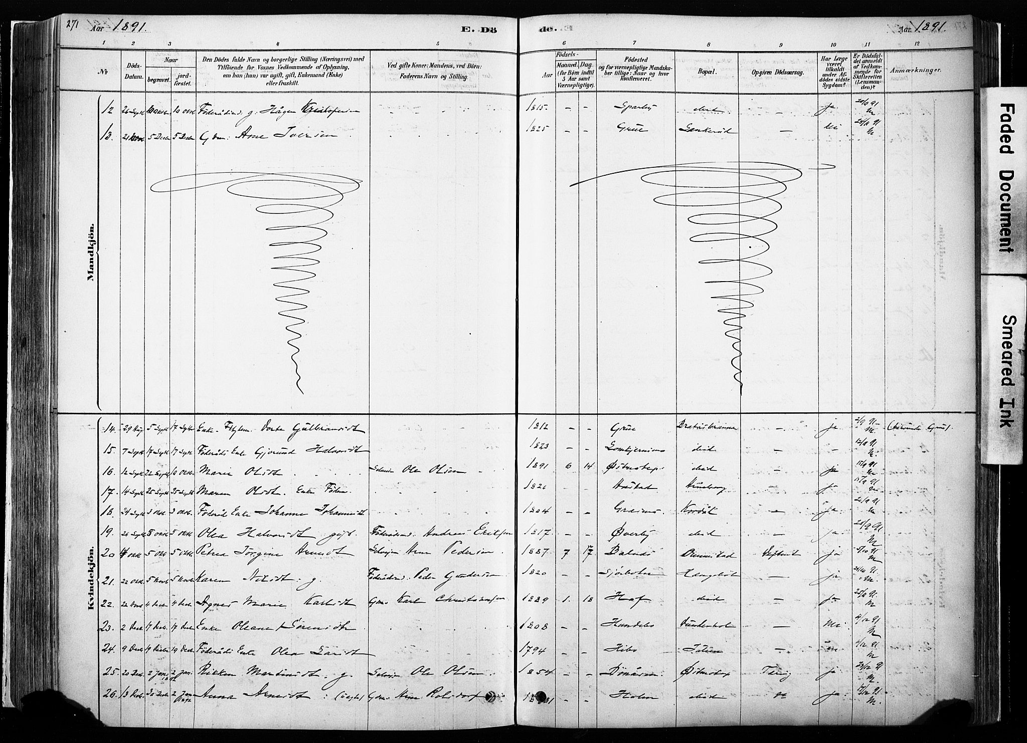 Hof prestekontor, SAH/PREST-038/H/Ha/Haa/L0010: Parish register (official) no. 10, 1878-1909, p. 271