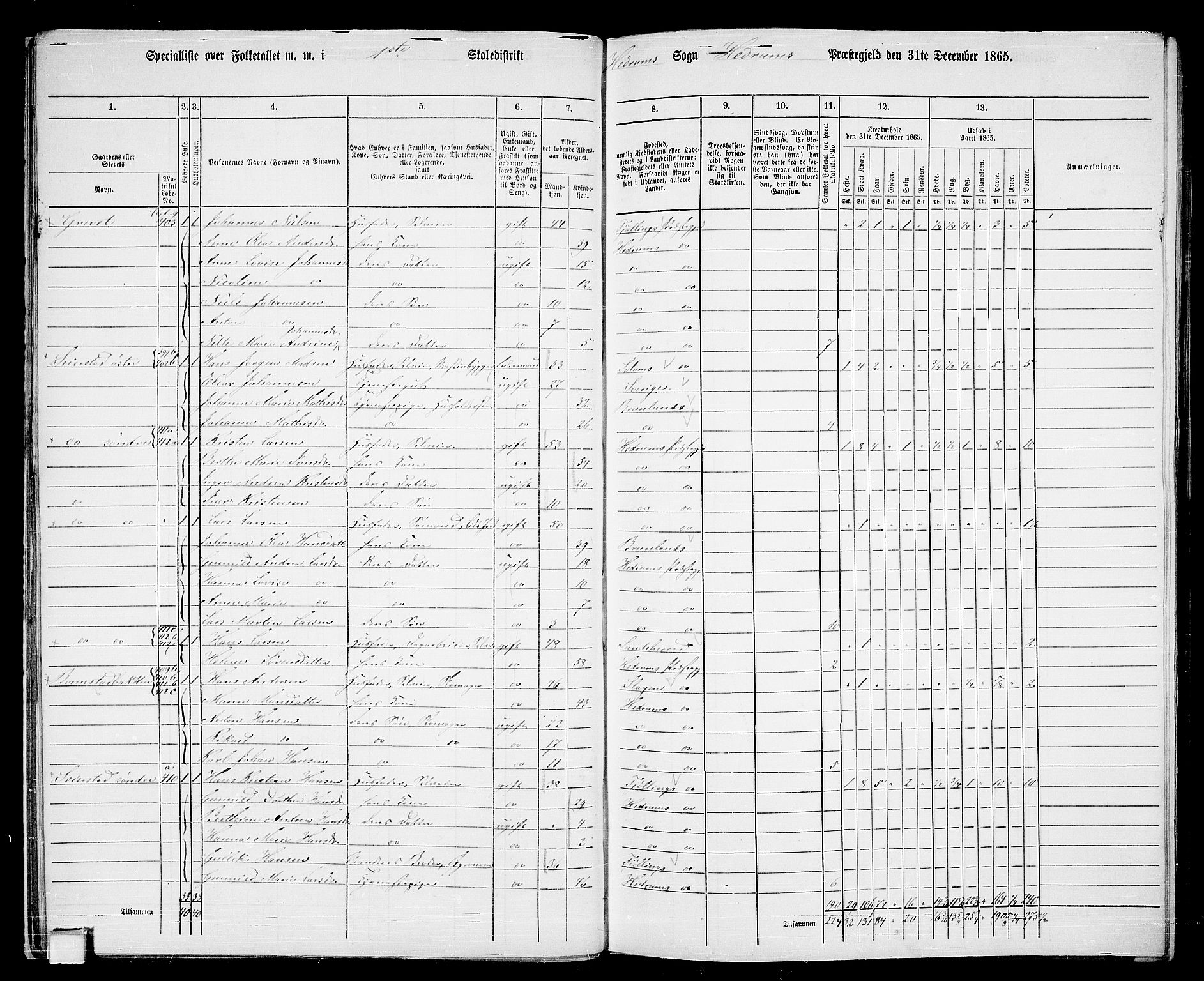 RA, 1865 census for Hedrum, 1865, p. 21