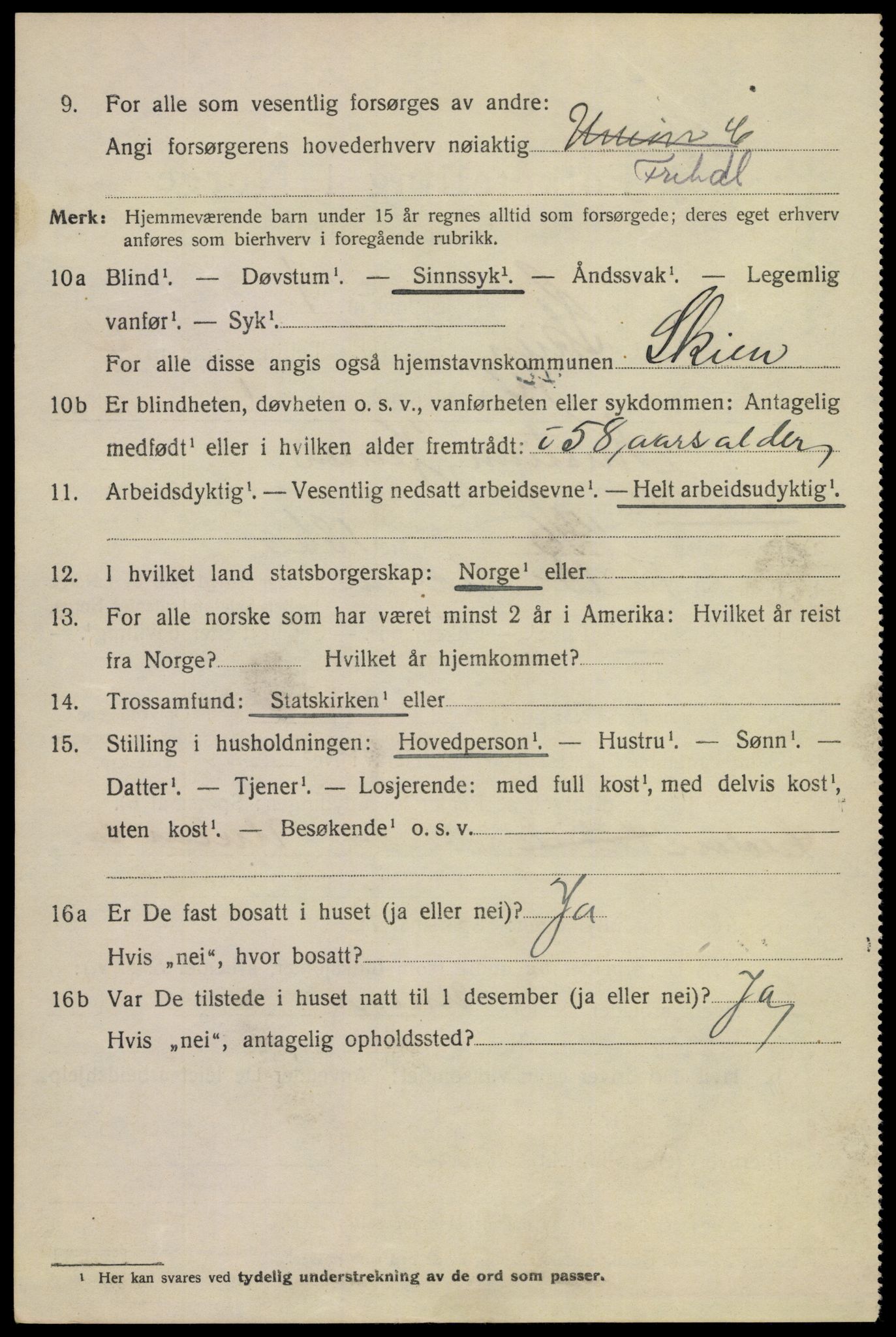 SAKO, 1920 census for Skien, 1920, p. 17303