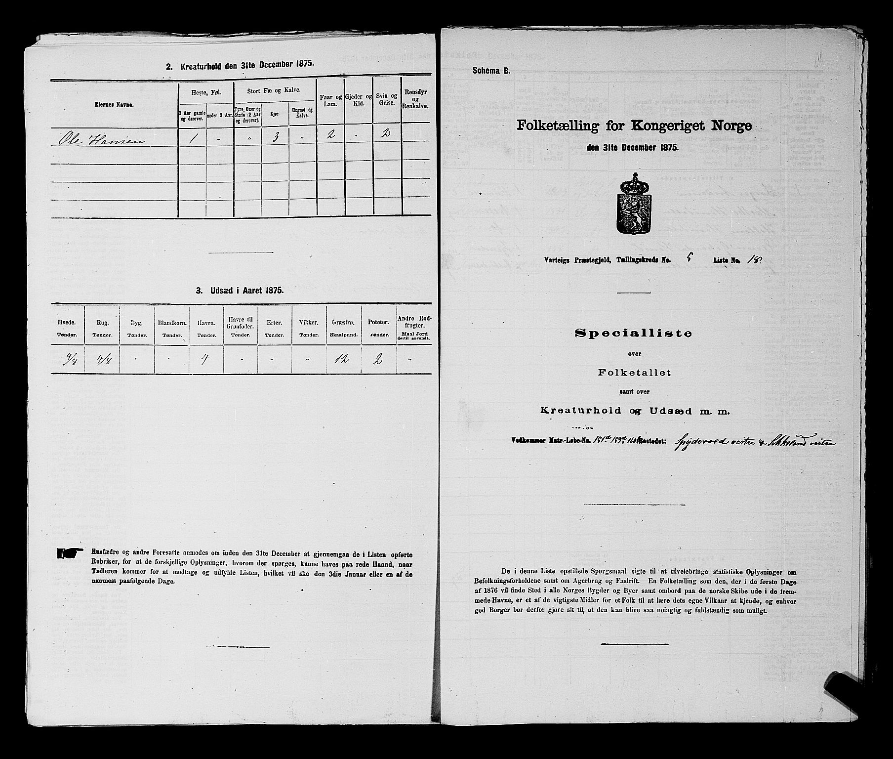 RA, 1875 census for 0114P Varteig, 1875, p. 416