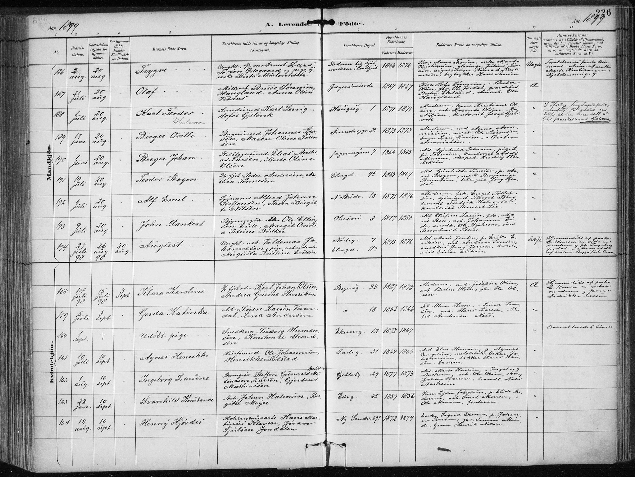 Sandviken Sokneprestembete, AV/SAB-A-77601/H/Ha/L0005: Parish register (official) no. B 2, 1891-1901, p. 226