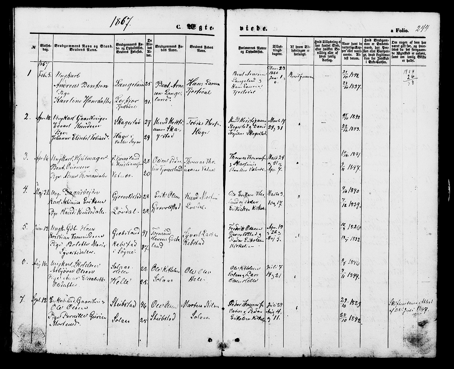 Holum sokneprestkontor, SAK/1111-0022/F/Fb/Fba/L0004: Parish register (copy) no. B 4, 1867-1890, p. 244