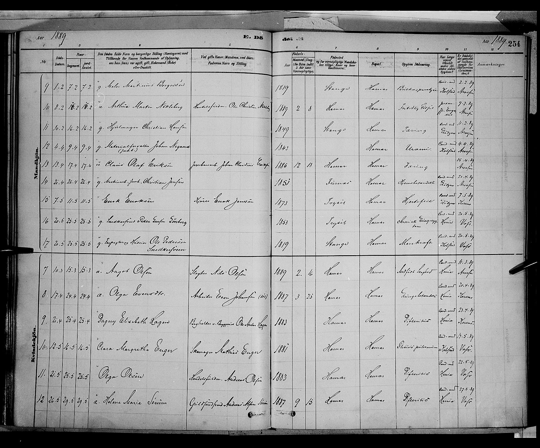 Vang prestekontor, Hedmark, AV/SAH-PREST-008/H/Ha/Haa/L0016: Parish register (official) no. 16, 1878-1889, p. 254