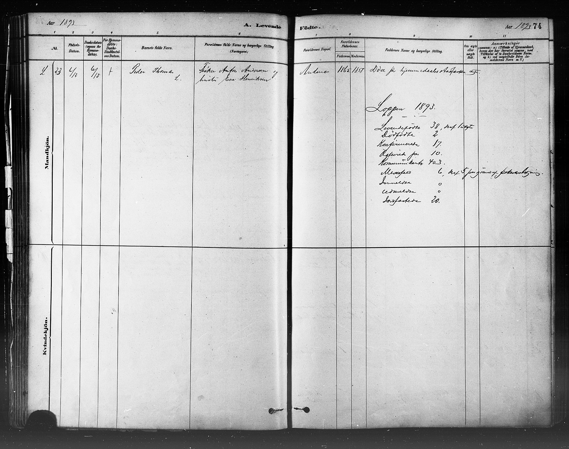 Loppa sokneprestkontor, SATØ/S-1339/H/Ha/L0006kirke: Parish register (official) no. 6, 1879-1895, p. 74