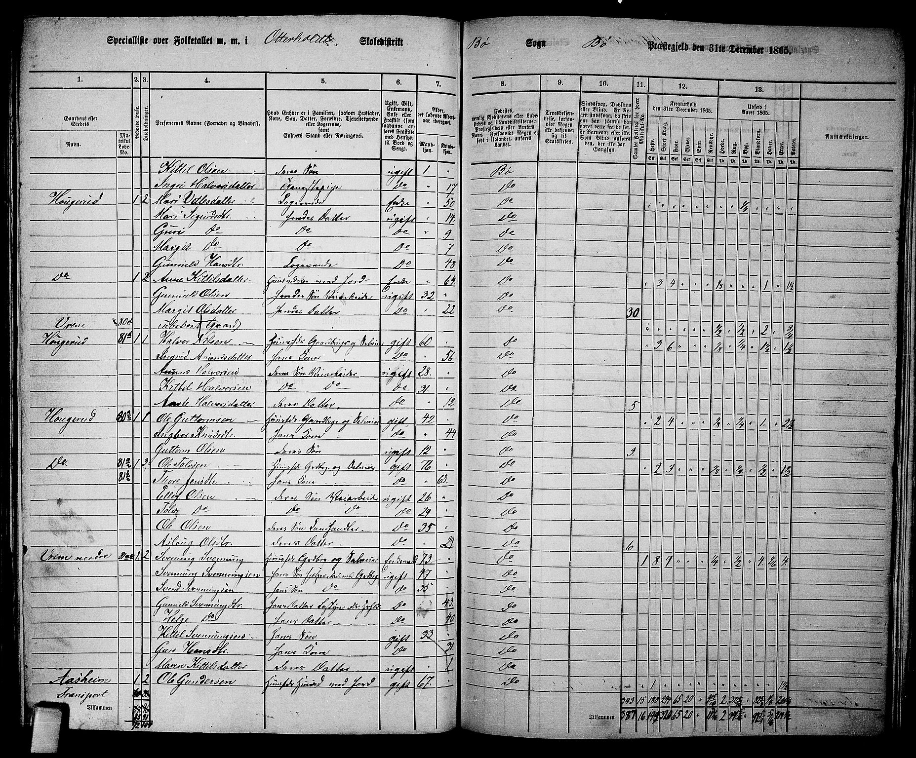 RA, 1865 census for Bø, 1865, p. 173