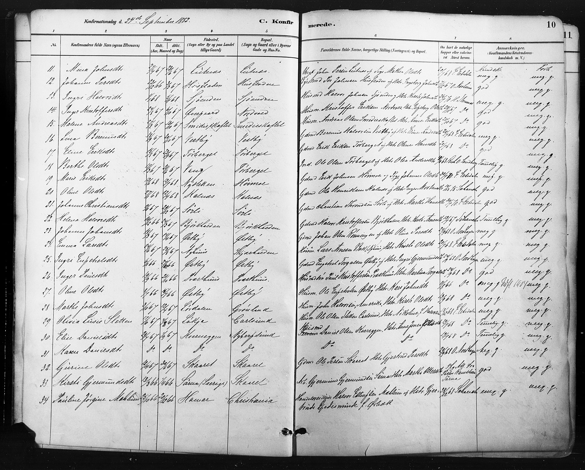 Trysil prestekontor, AV/SAH-PREST-046/H/Ha/Haa/L0009: Parish register (official) no. 9, 1881-1897, p. 10