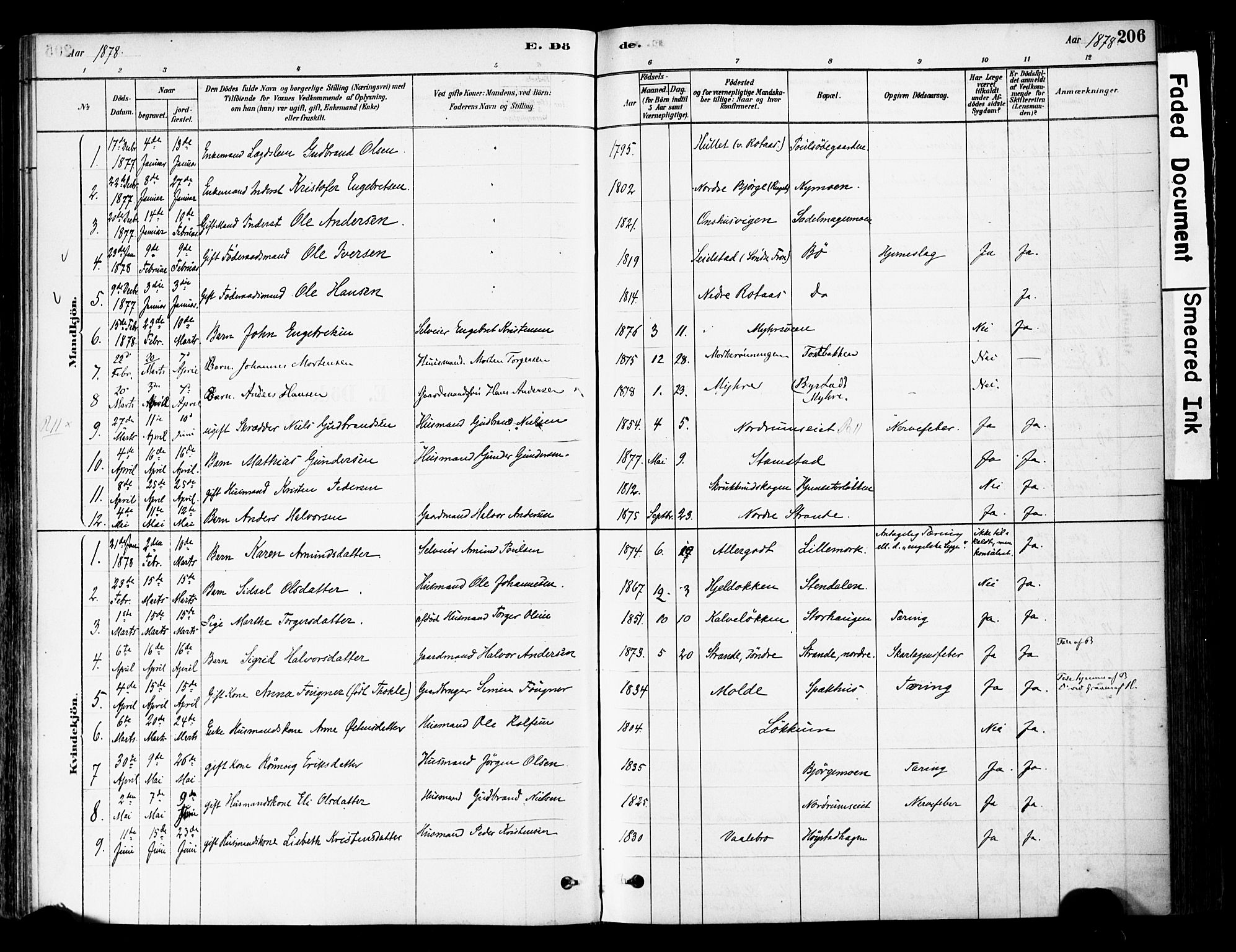 Ringebu prestekontor, AV/SAH-PREST-082/H/Ha/Haa/L0008: Parish register (official) no. 8, 1878-1898, p. 206