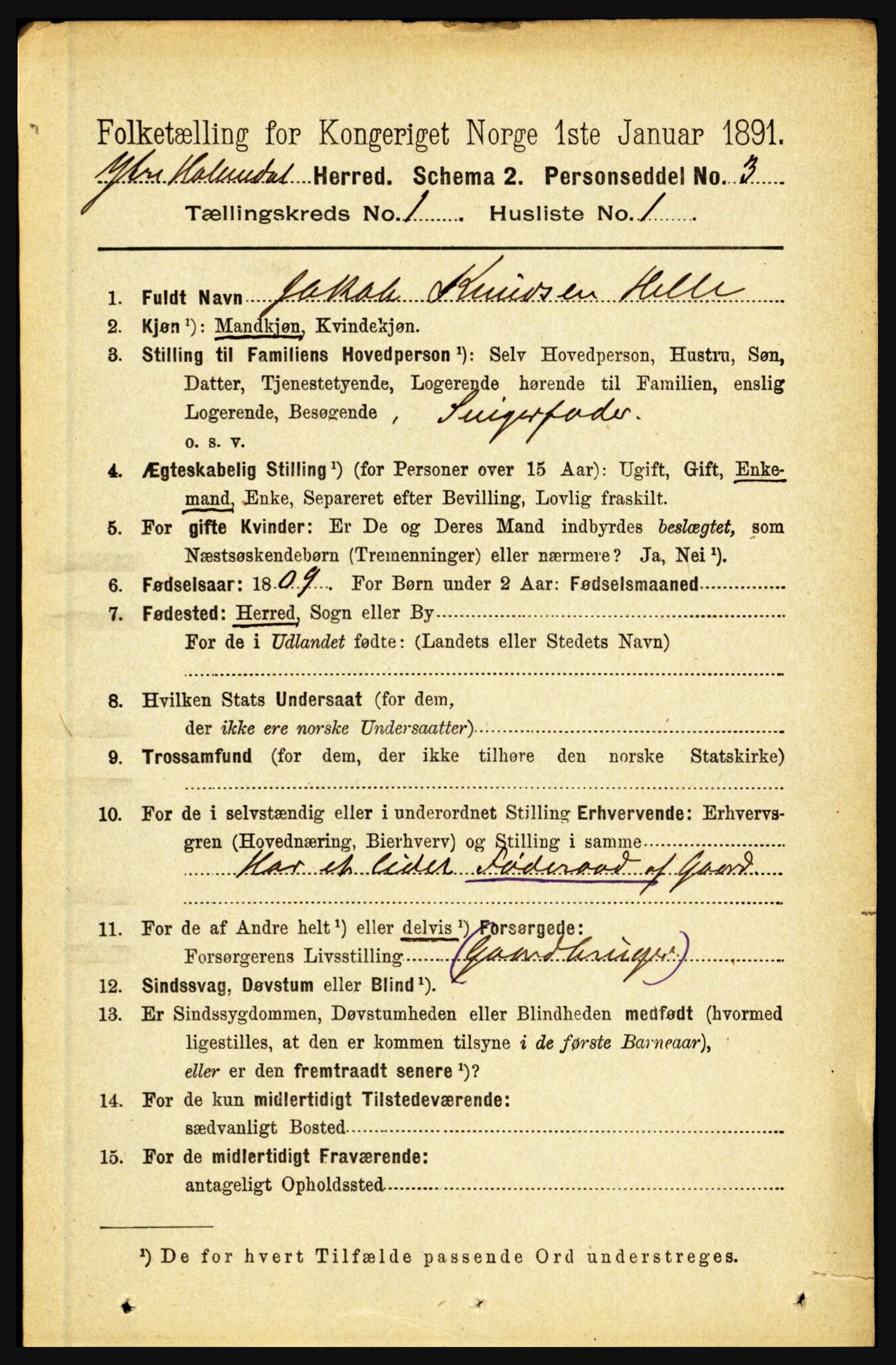 RA, 1891 census for 1429 Ytre Holmedal, 1891, p. 85