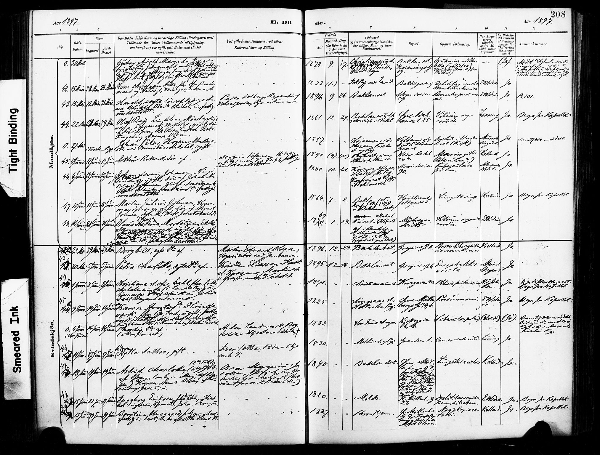 Ministerialprotokoller, klokkerbøker og fødselsregistre - Sør-Trøndelag, AV/SAT-A-1456/604/L0198: Parish register (official) no. 604A19, 1893-1900, p. 208