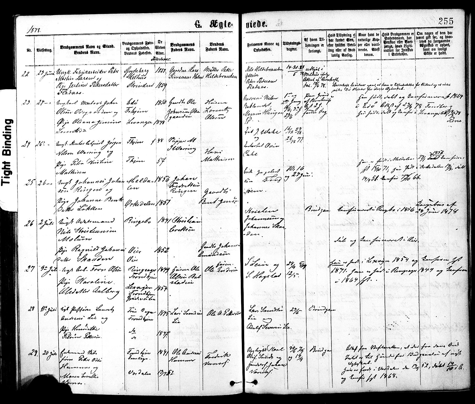 Ministerialprotokoller, klokkerbøker og fødselsregistre - Sør-Trøndelag, AV/SAT-A-1456/602/L0118: Parish register (official) no. 602A16, 1873-1879, p. 255