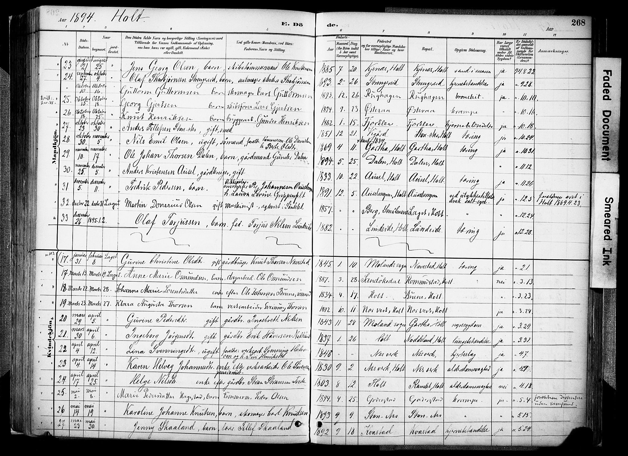 Holt sokneprestkontor, AV/SAK-1111-0021/F/Fa/L0012: Parish register (official) no. A 12, 1885-1907, p. 268