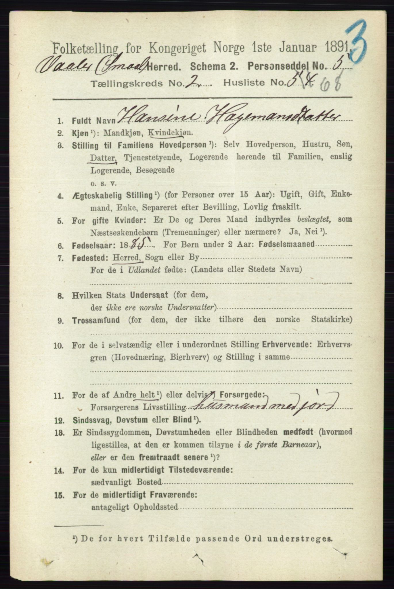 RA, 1891 census for 0137 Våler, 1891, p. 1035