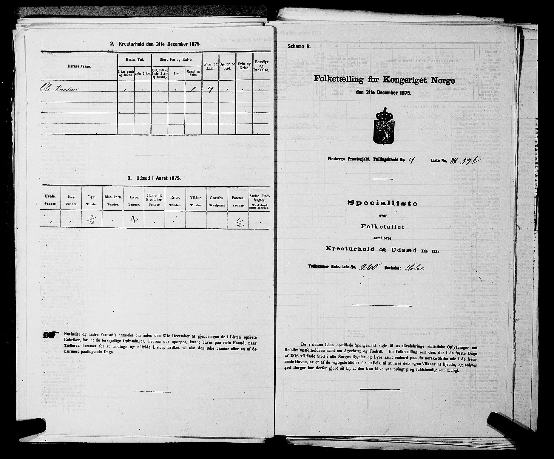 SAKO, 1875 census for 0631P Flesberg, 1875, p. 868