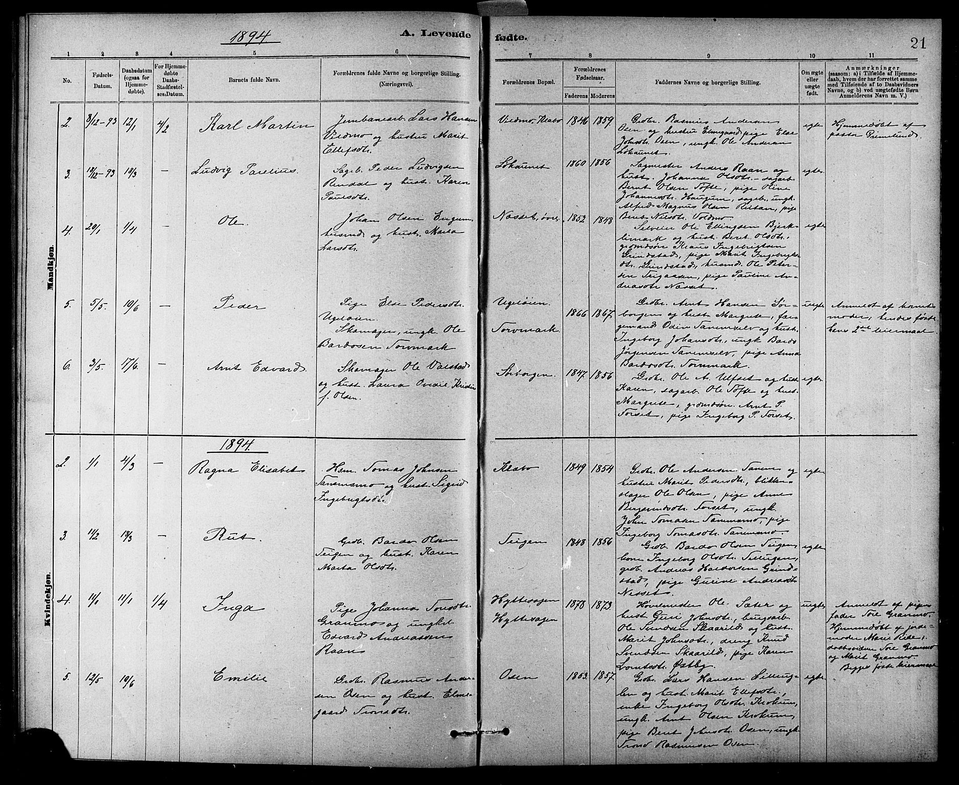 Ministerialprotokoller, klokkerbøker og fødselsregistre - Sør-Trøndelag, SAT/A-1456/618/L0452: Parish register (copy) no. 618C03, 1884-1906, p. 21