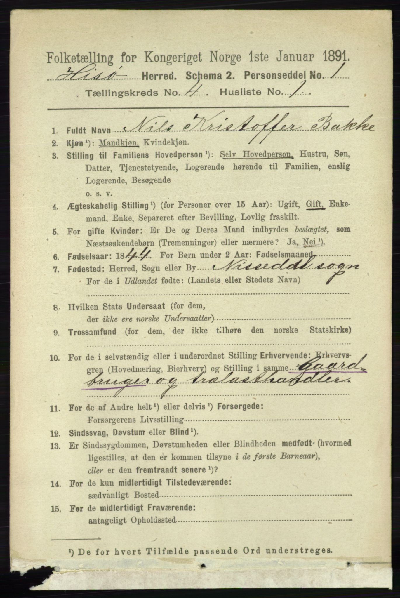 RA, 1891 census for 0922 Hisøy, 1891, p. 3309