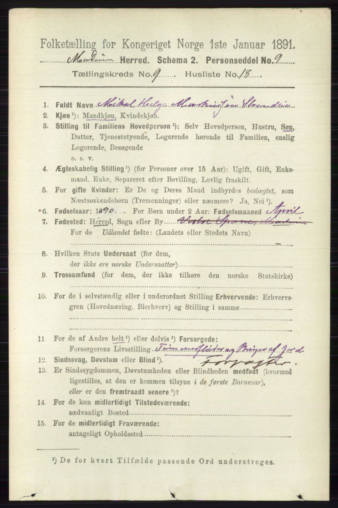 RA, 1891 census for 0623 Modum, 1891, p. 3568