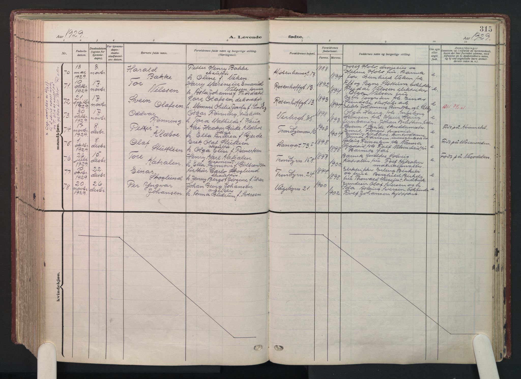 Petrus prestekontor Kirkebøker, AV/SAO-A-10872/F/Fa/L0012: Parish register (official) no. 12, 1909-1936, p. 315