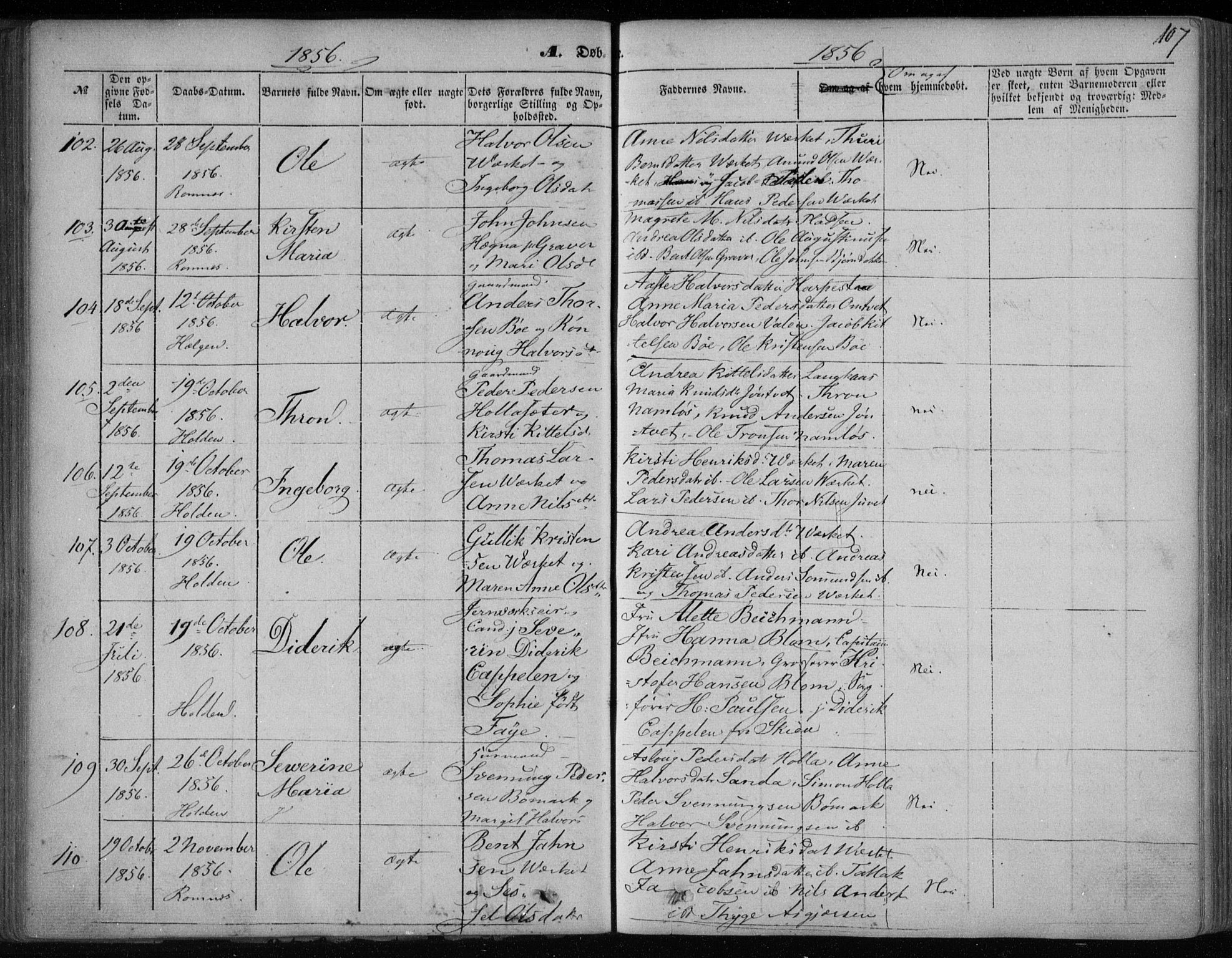 Holla kirkebøker, AV/SAKO-A-272/F/Fa/L0005: Parish register (official) no. 5, 1849-1860, p. 107