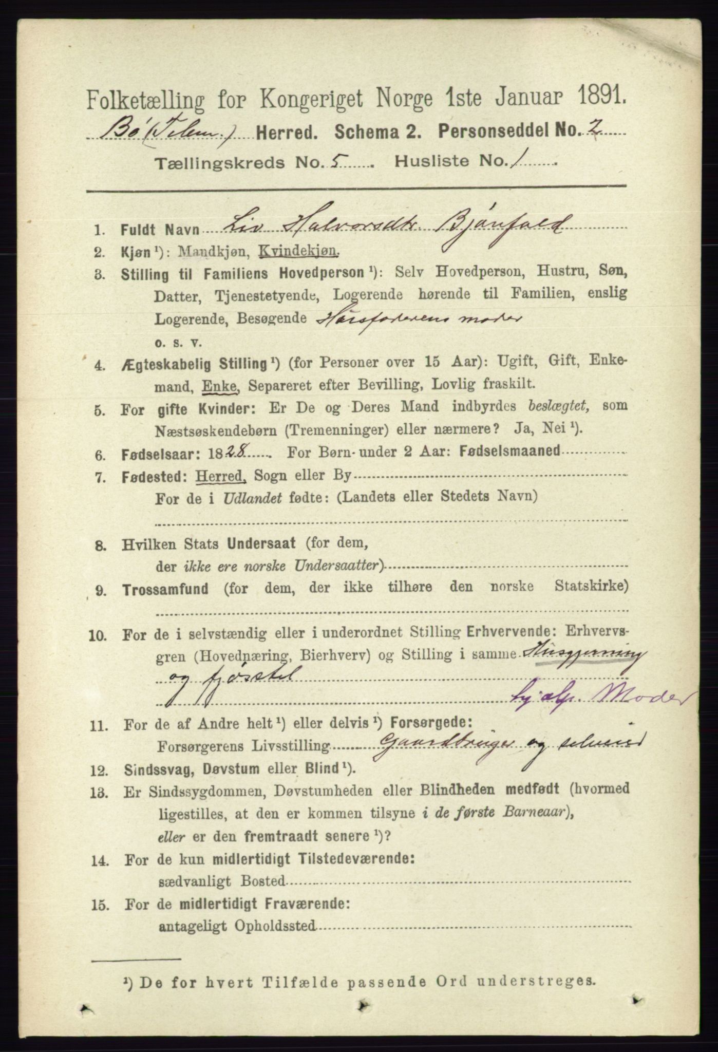 RA, 1891 census for 0821 Bø, 1891, p. 1420