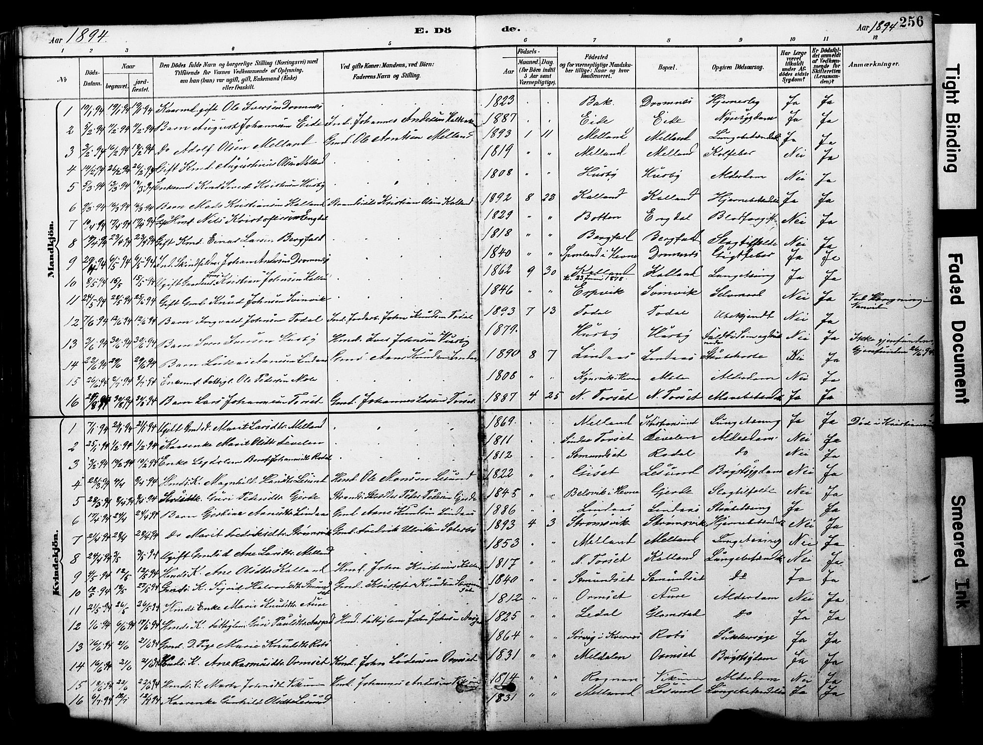 Ministerialprotokoller, klokkerbøker og fødselsregistre - Møre og Romsdal, AV/SAT-A-1454/578/L0907: Parish register (official) no. 578A06, 1887-1904, p. 256