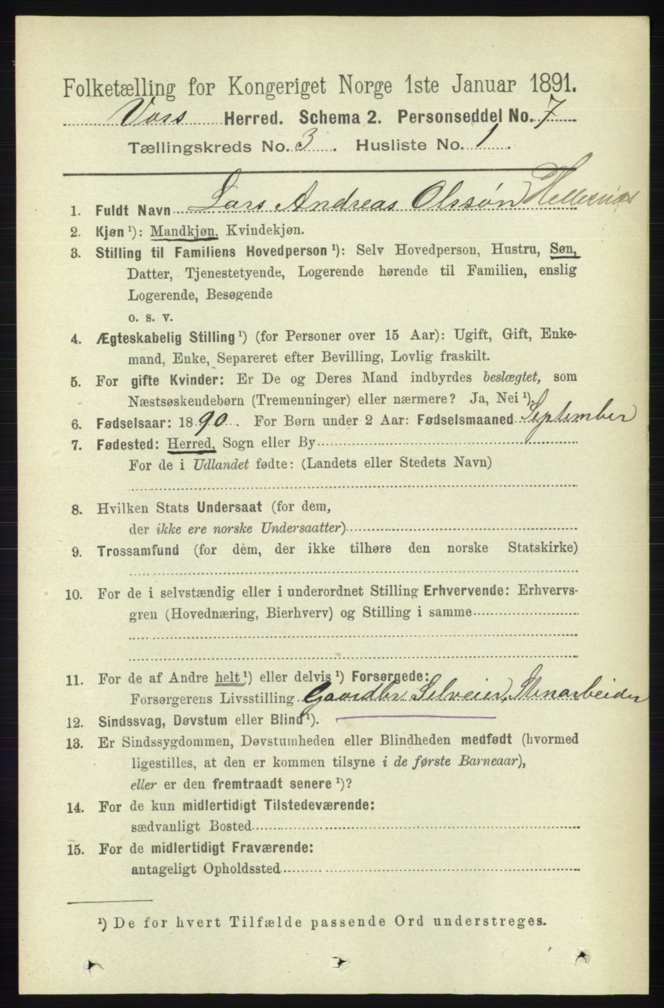 RA, 1891 census for 1235 Voss, 1891, p. 1180