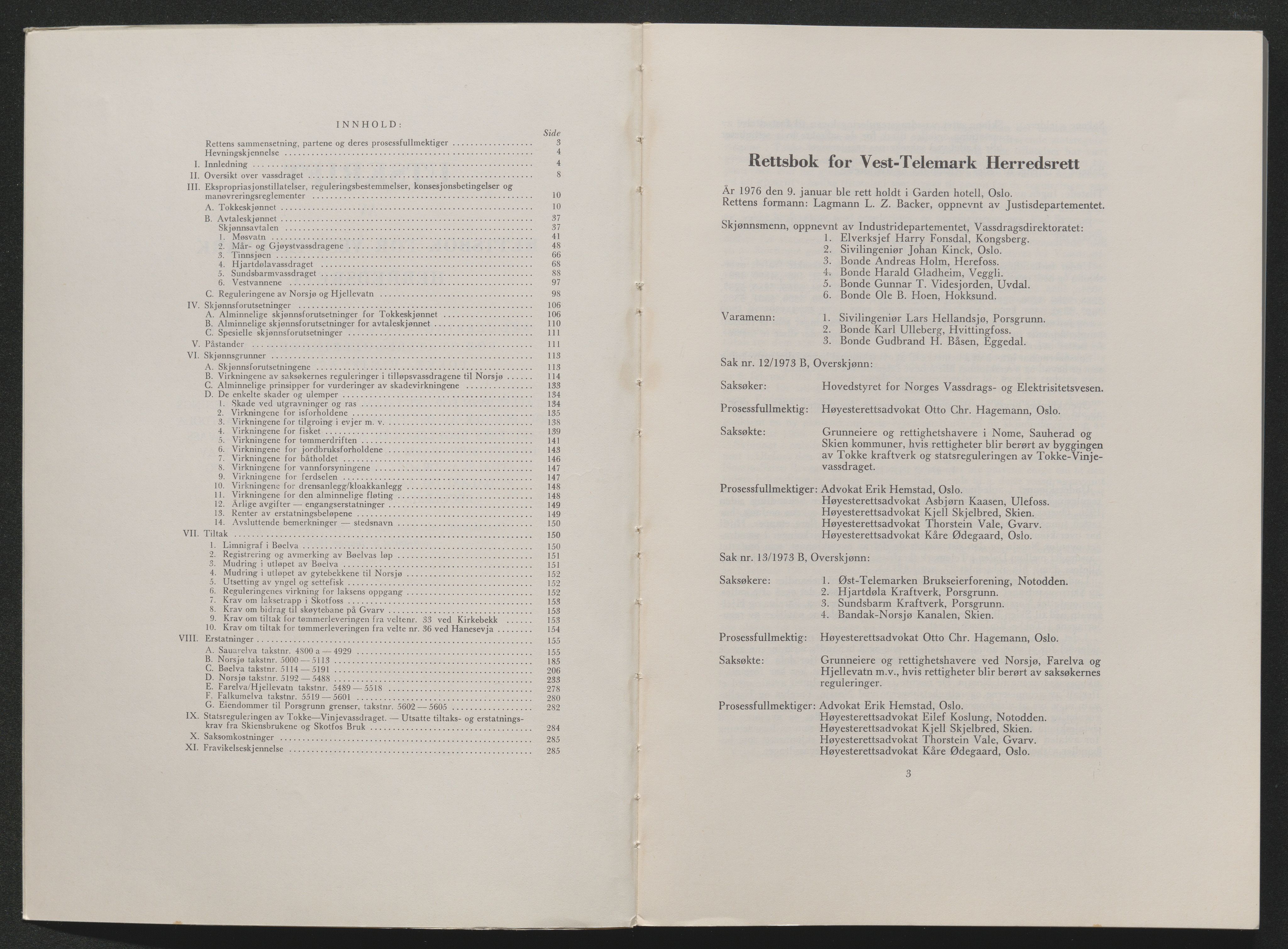 Vest-Telemark sorenskriveri, AV/SAKO-A-134/F/Fo/Foc/L0003: Tokke og Vinjevassdraget rettsbøker, 1973-1984, p. 146