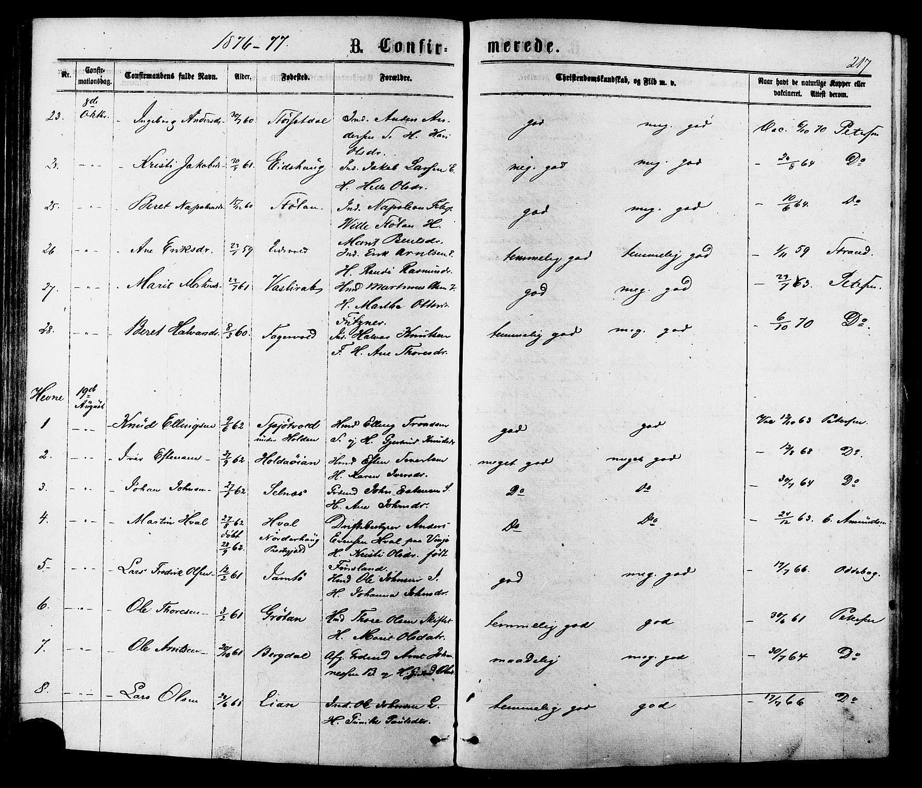 Ministerialprotokoller, klokkerbøker og fødselsregistre - Sør-Trøndelag, SAT/A-1456/630/L0495: Parish register (official) no. 630A08, 1868-1878, p. 217