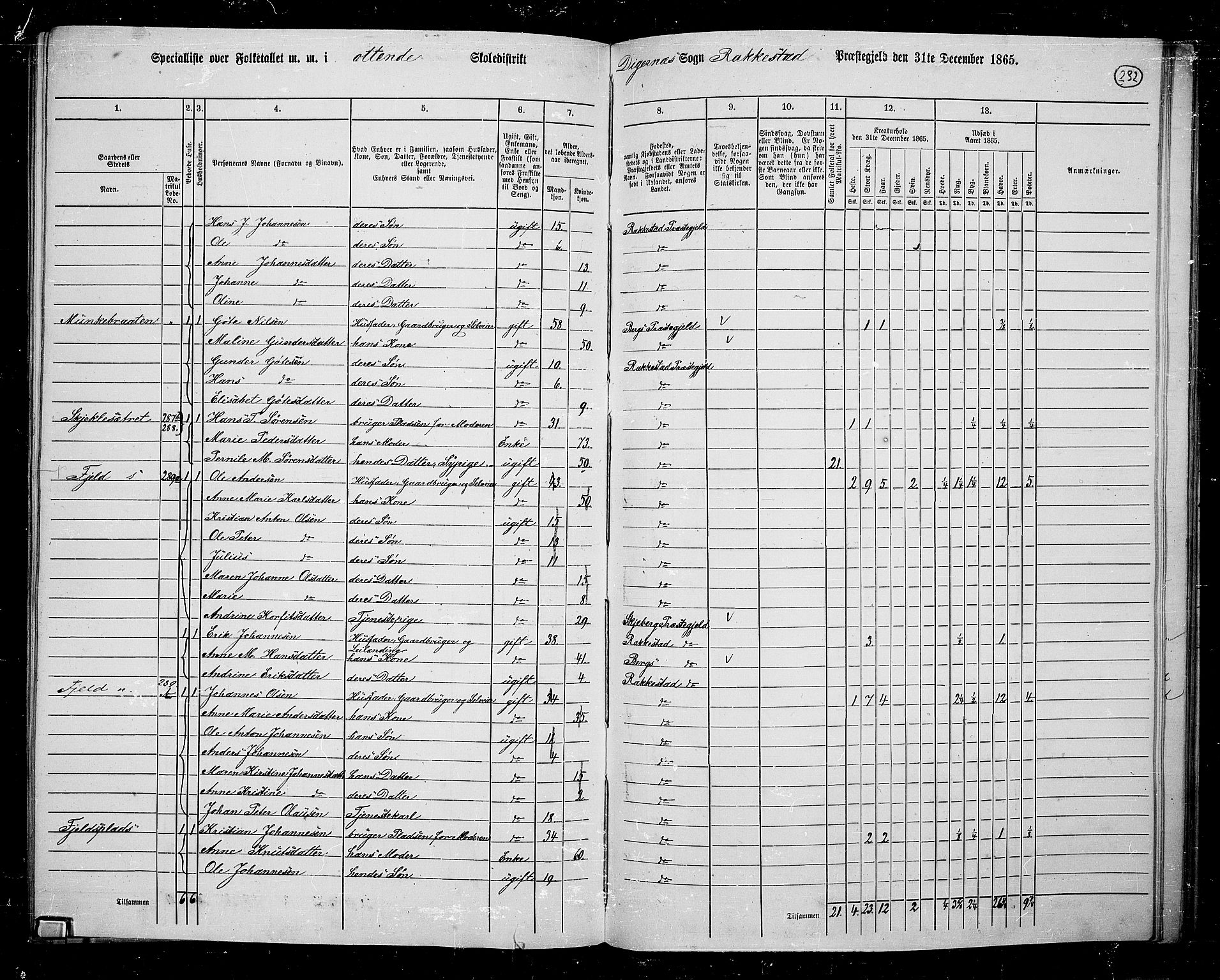 RA, 1865 census for Rakkestad, 1865, p. 223