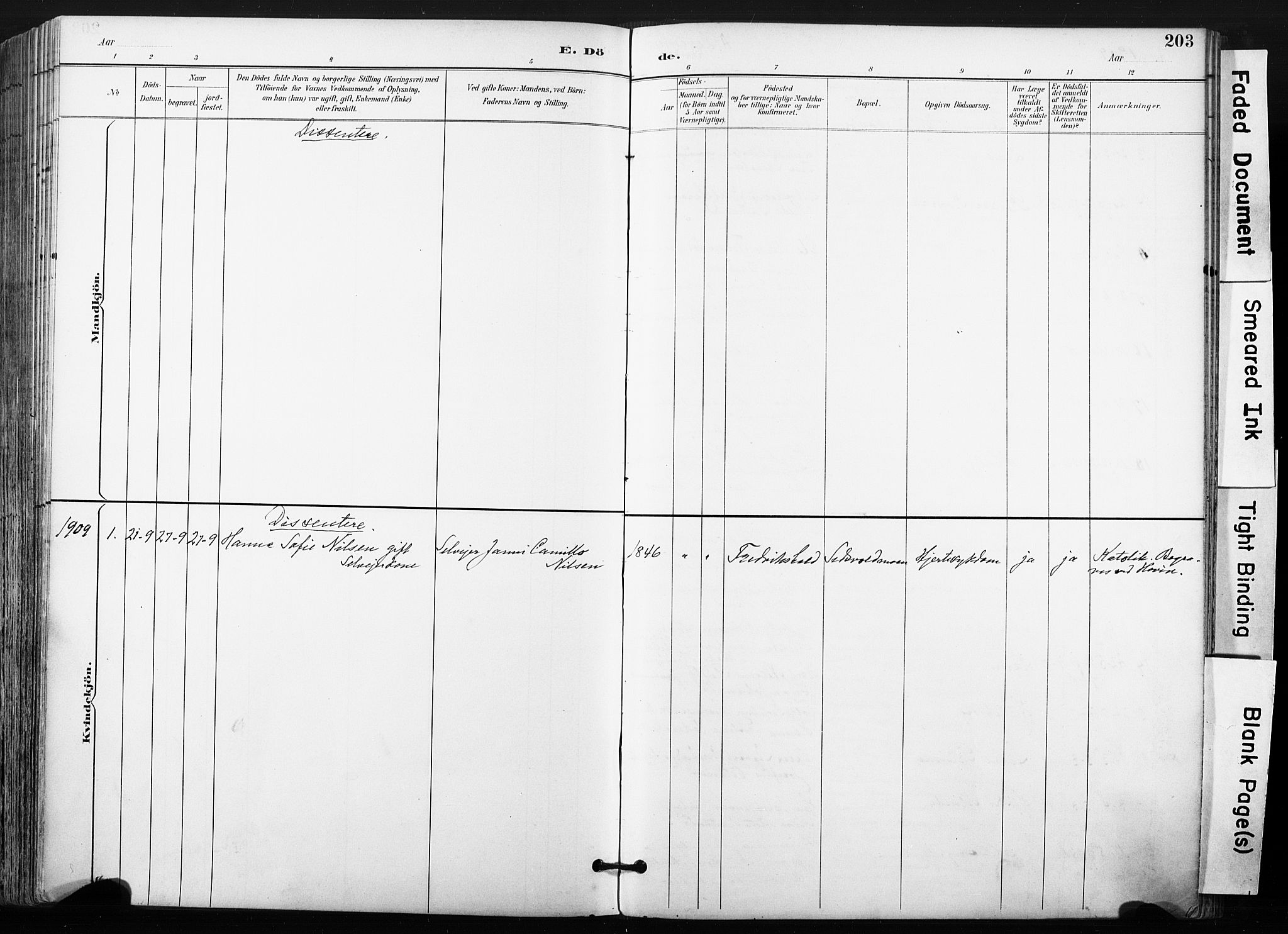 Ullensaker prestekontor Kirkebøker, SAO/A-10236a/F/Fb/L0002: Parish register (official) no. II 2, 1894-1909, p. 203