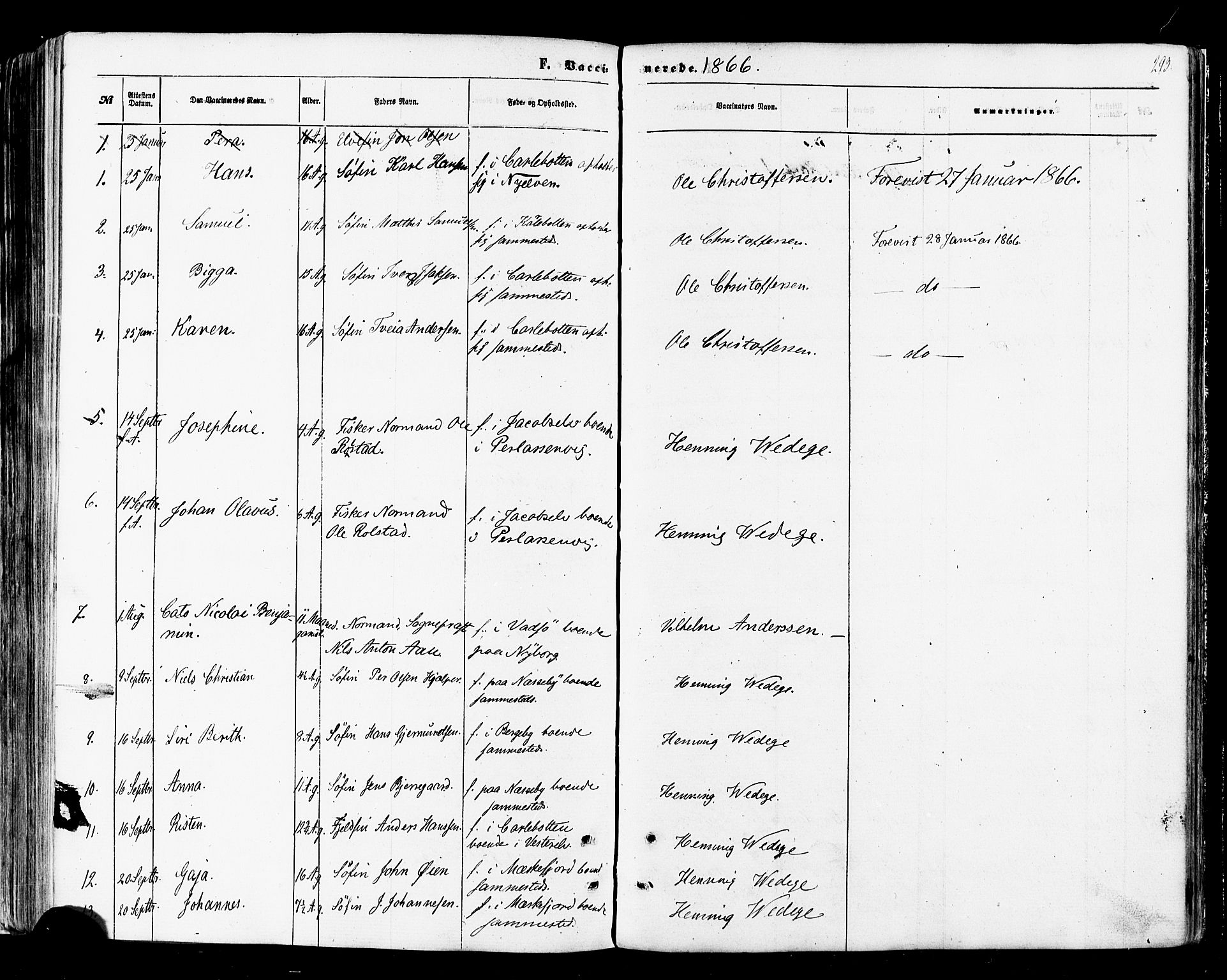 Nesseby sokneprestkontor, SATØ/S-1330/H/Ha/L0003kirke: Parish register (official) no. 3 /1, 1865-1876, p. 293