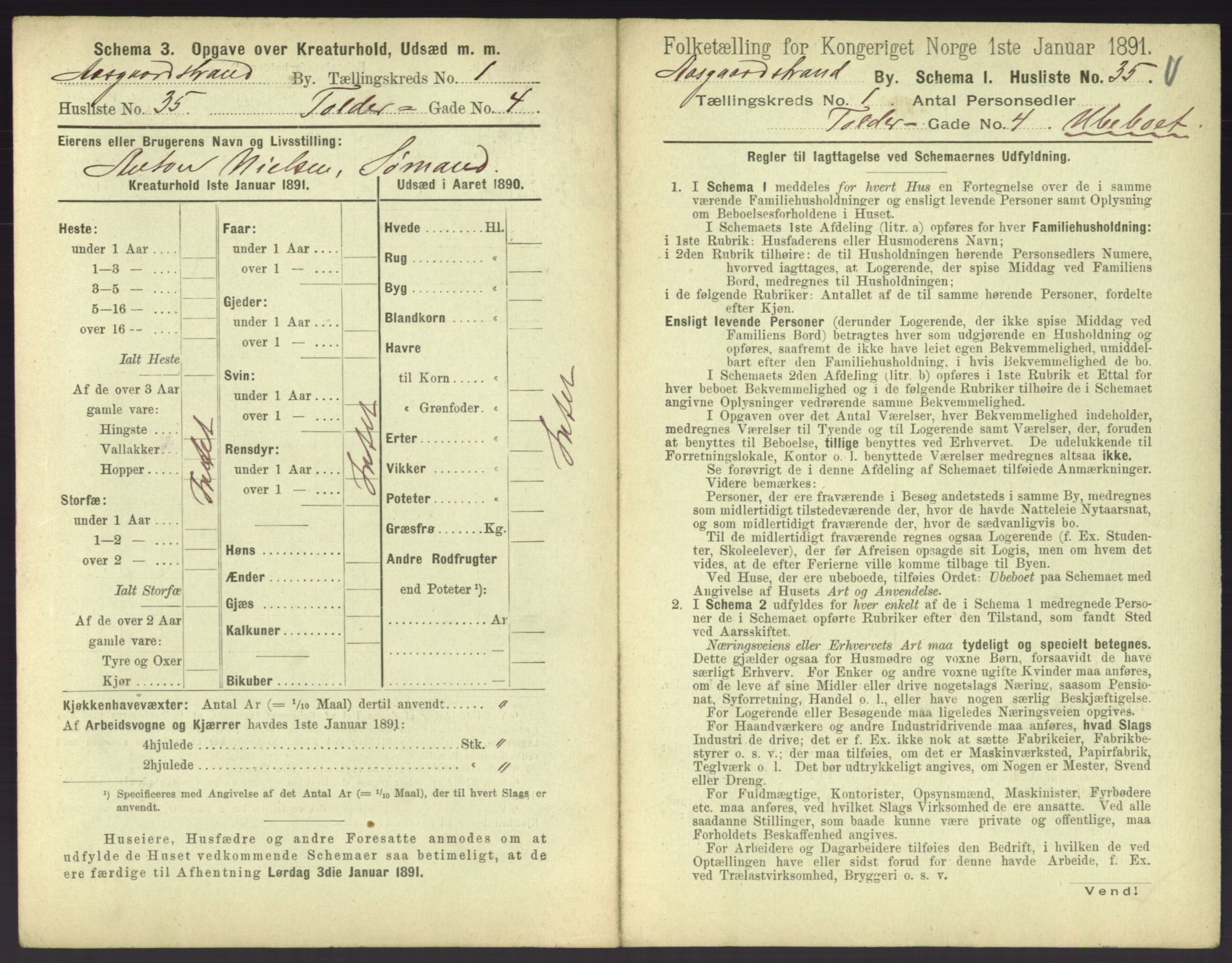 RA, 1891 census for 0704 Åsgårdstrand, 1891, p. 83