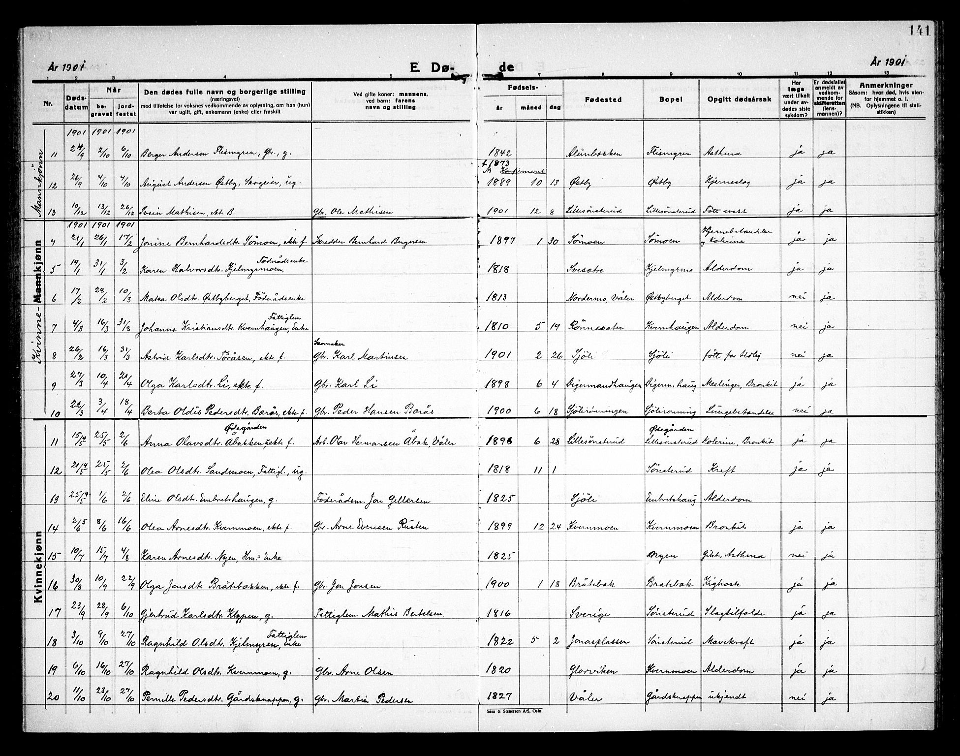 Åsnes prestekontor, SAH/PREST-042/H/Ha/Haa/L0000D: Parish register (official) no. 0B, 1890-1929, p. 141