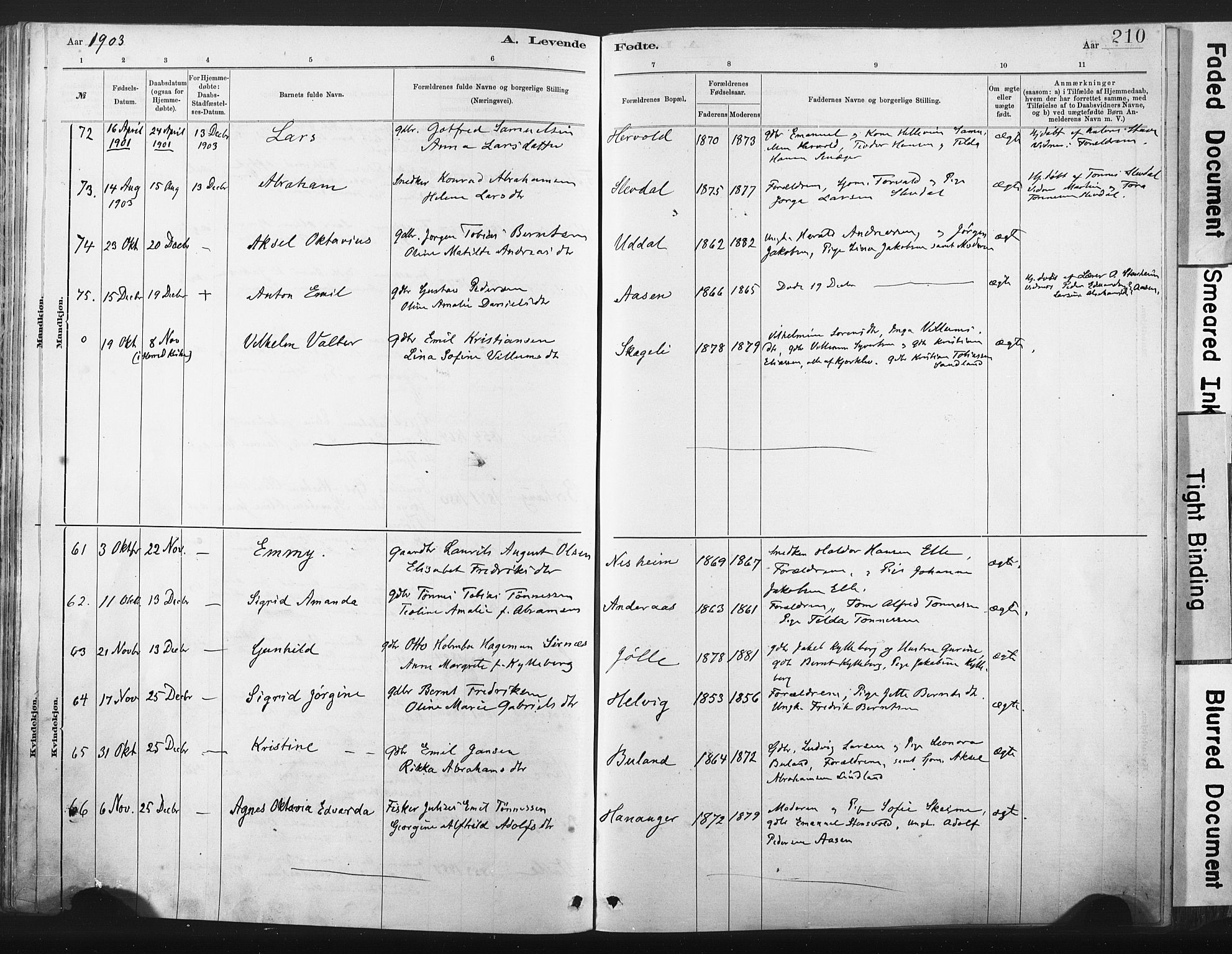 Lista sokneprestkontor, AV/SAK-1111-0027/F/Fa/L0012: Parish register (official) no. A 12, 1879-1903, p. 210