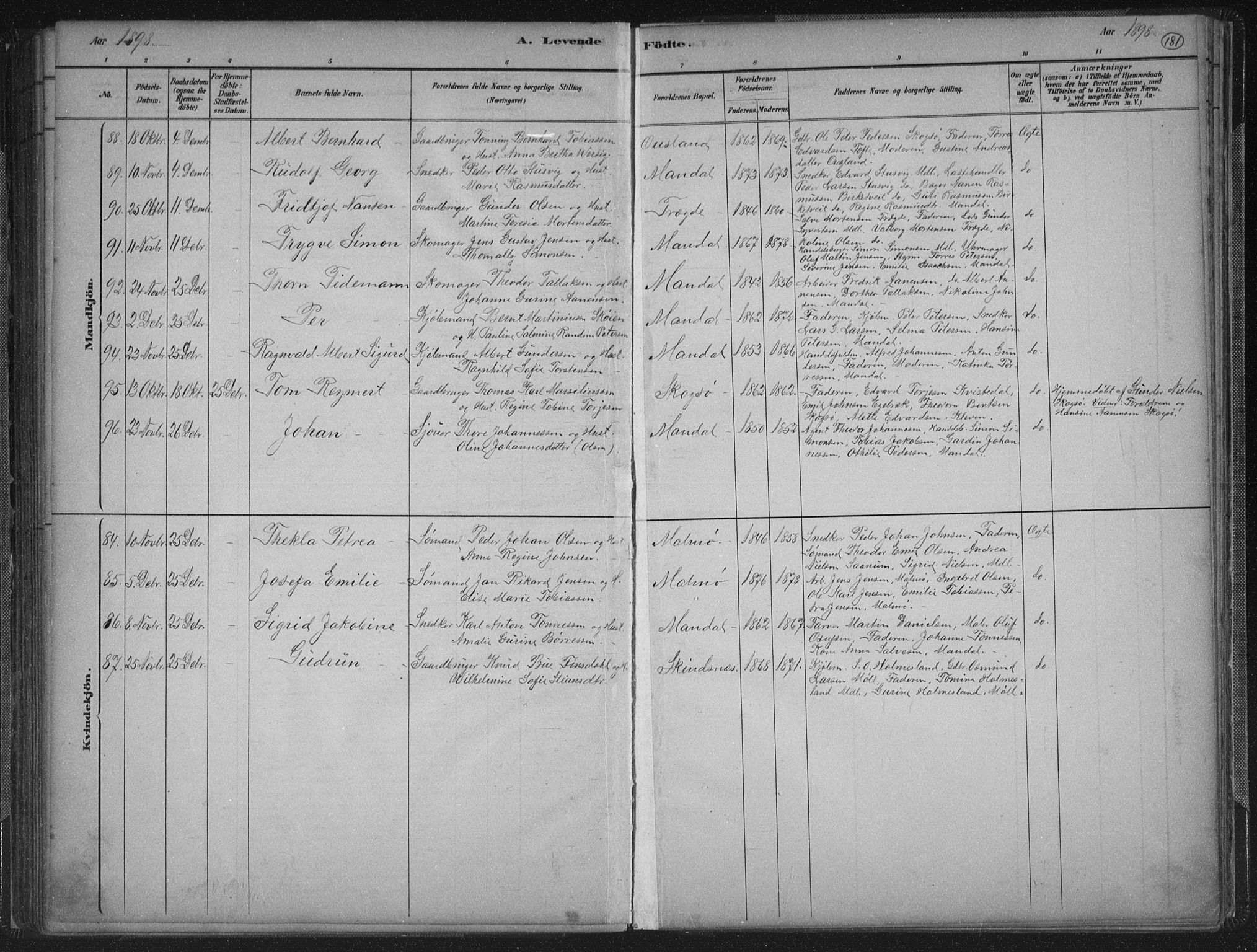 Mandal sokneprestkontor, AV/SAK-1111-0030/F/Fb/Fba/L0011: Parish register (copy) no. B 5, 1880-1898, p. 181