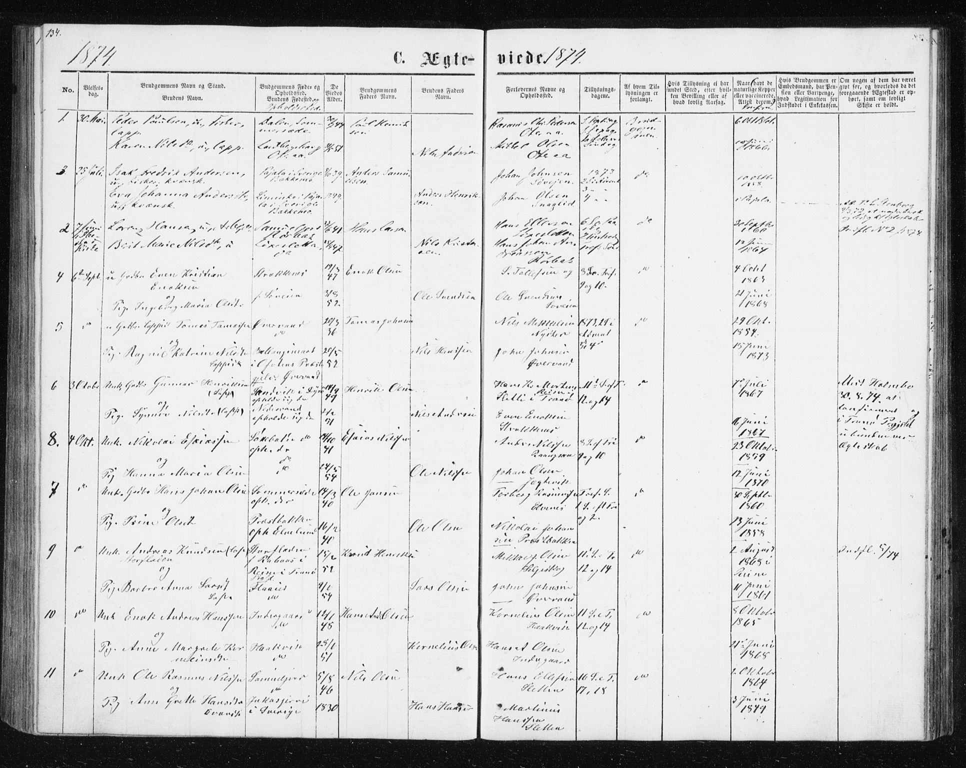 Ibestad sokneprestembete, SATØ/S-0077/H/Ha/Hab/L0013klokker: Parish register (copy) no. 13, 1865-1879, p. 134