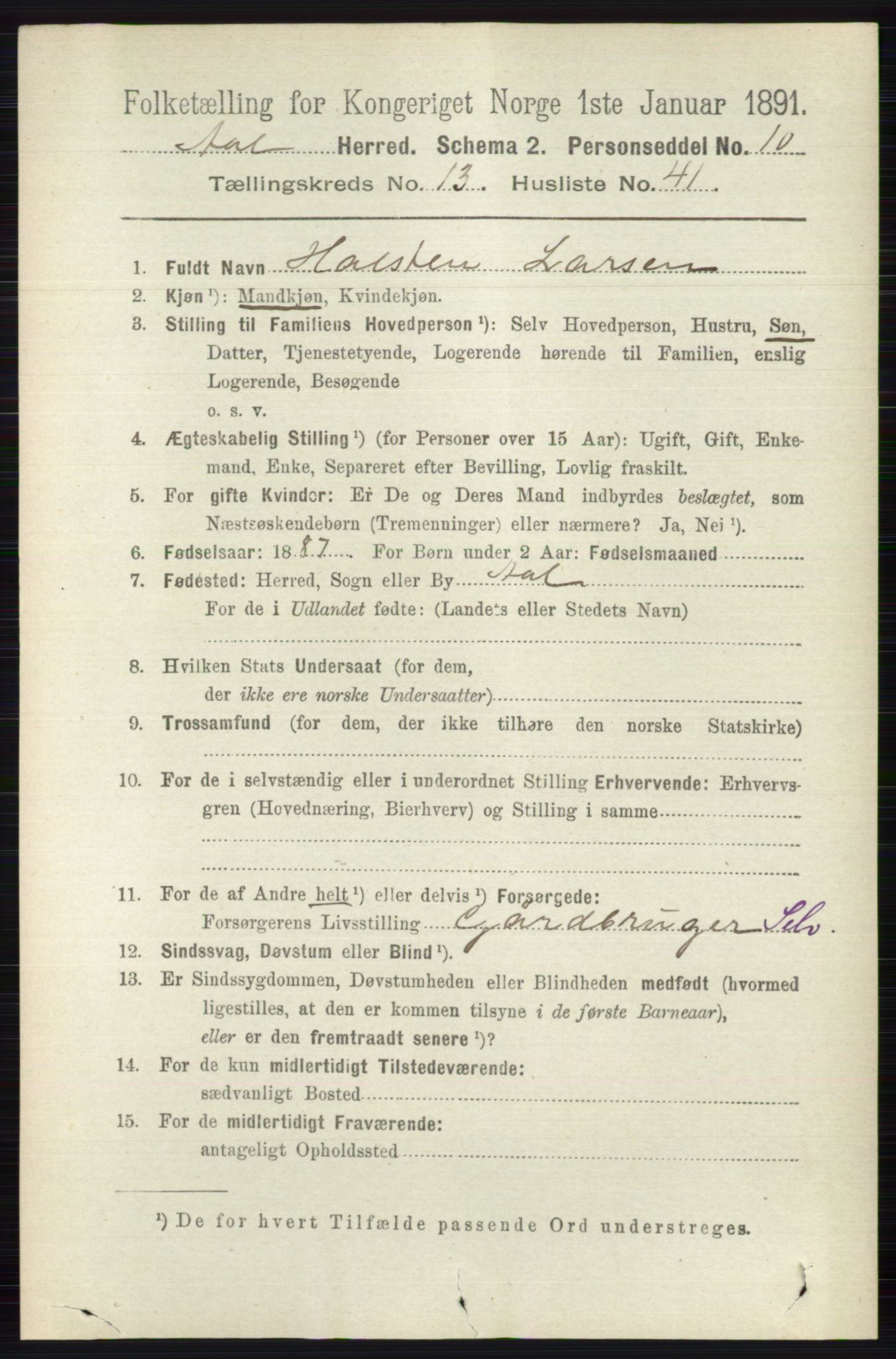 RA, 1891 census for 0619 Ål, 1891, p. 3491