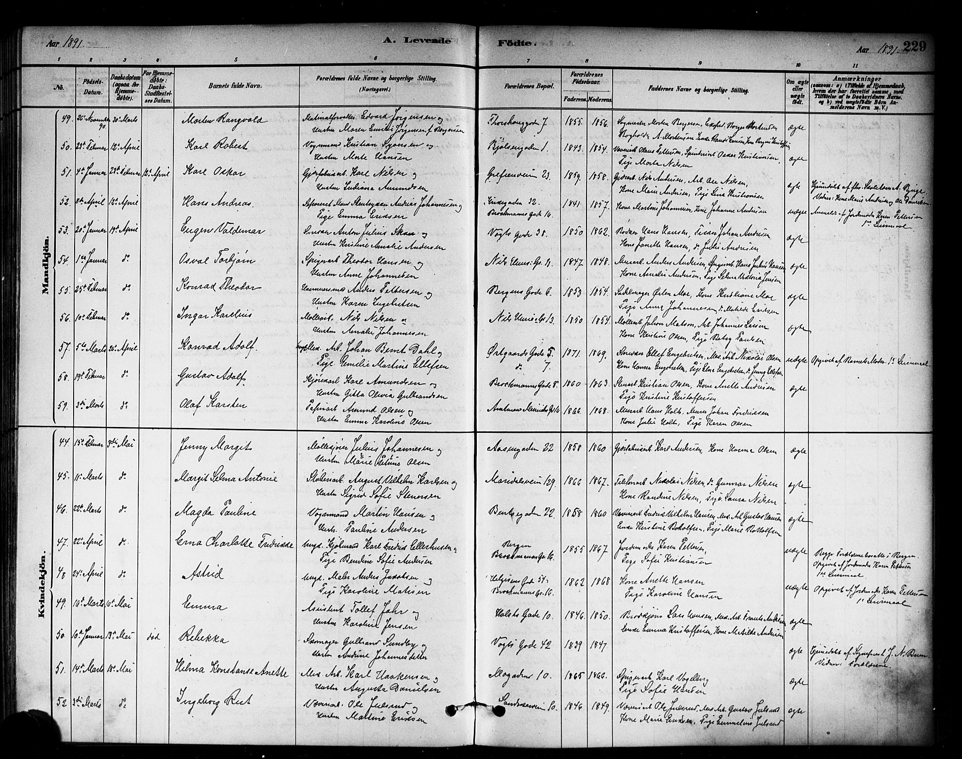 Sagene prestekontor Kirkebøker, SAO/A-10796/G/L0001: Parish register (copy) no. 1, 1880-1891, p. 229